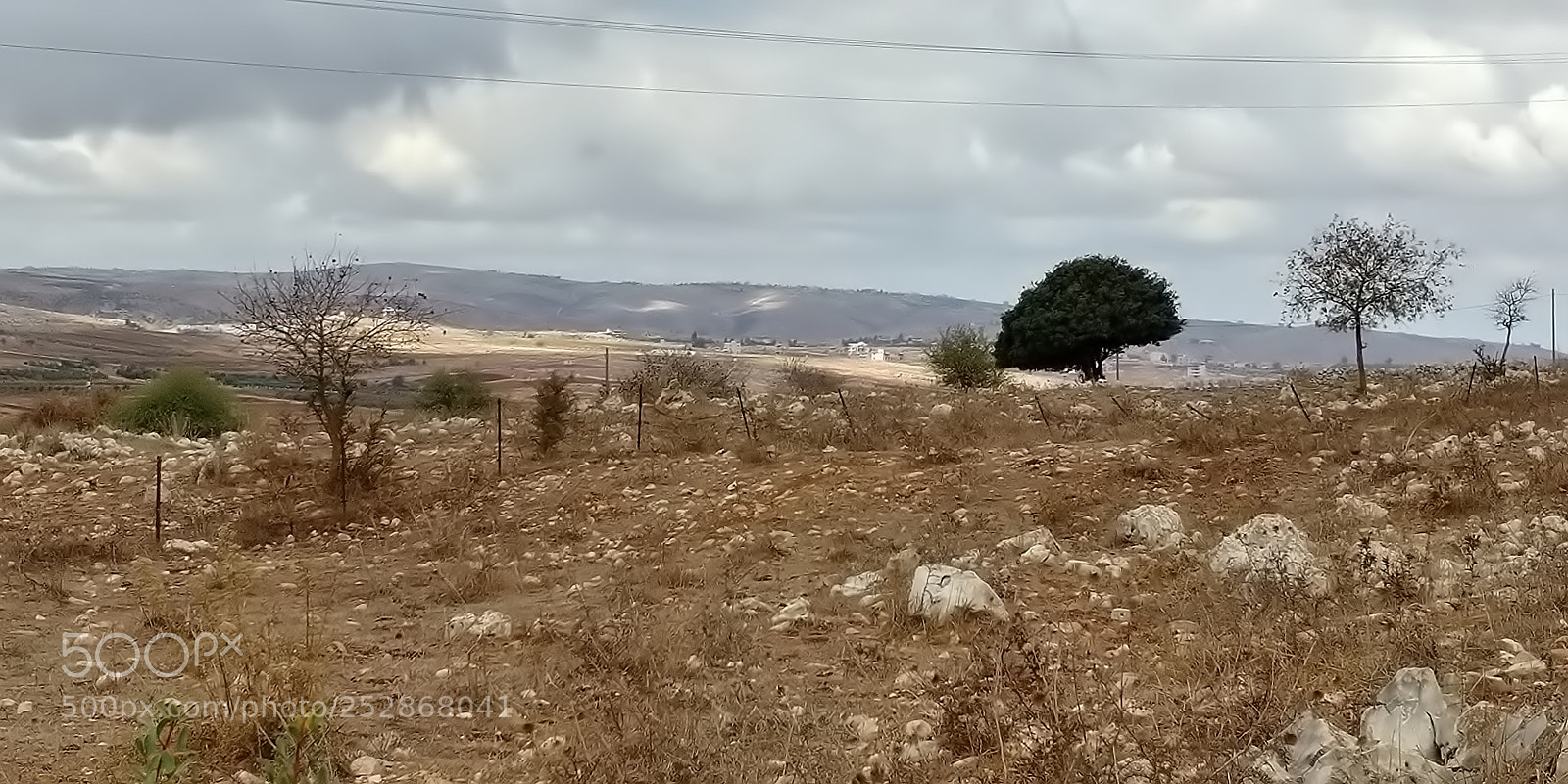 LG G6 sample photo. Kibbutz malkia photography