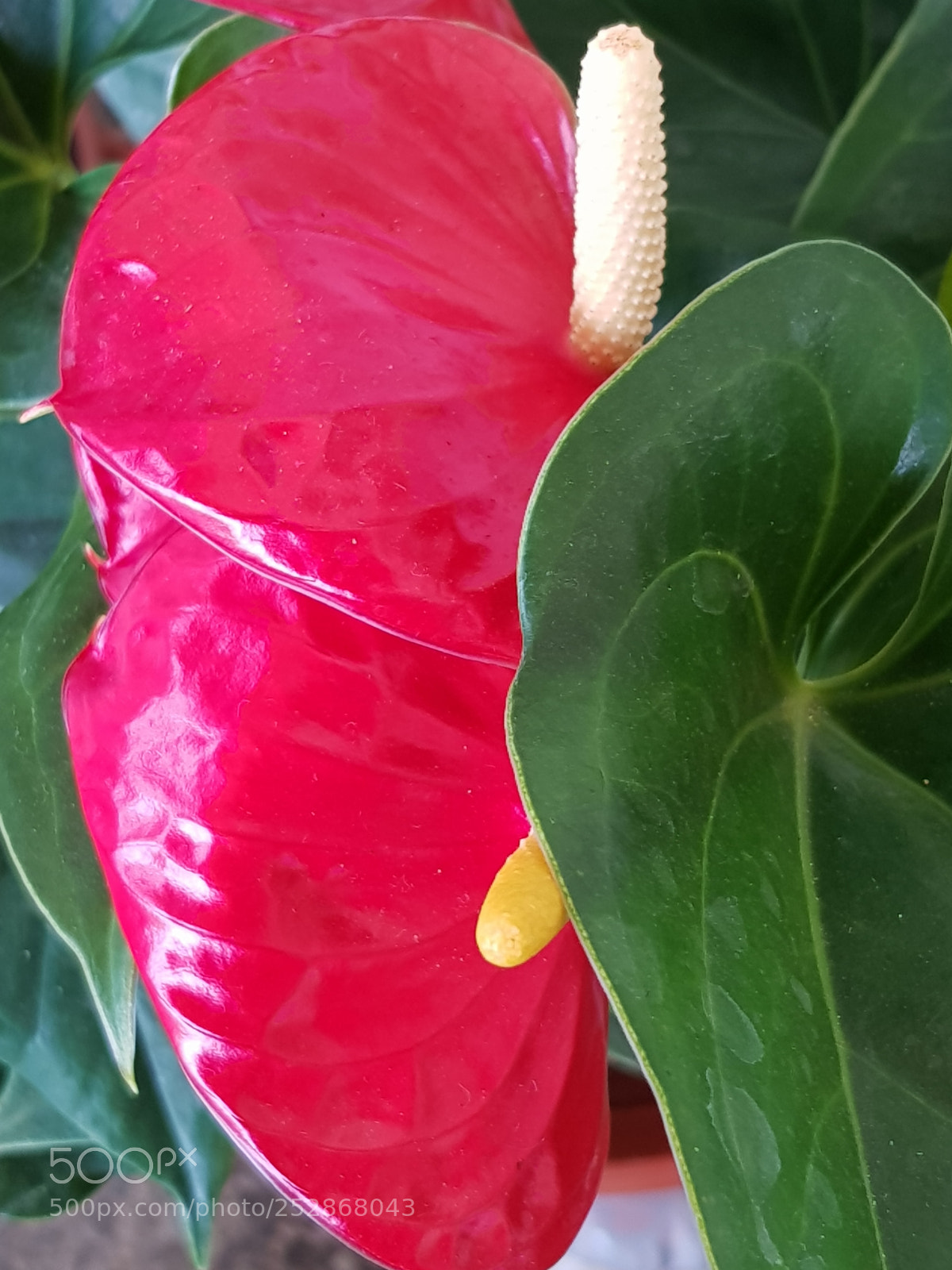 Samsung Galaxy S8 sample photo. Untitled photography