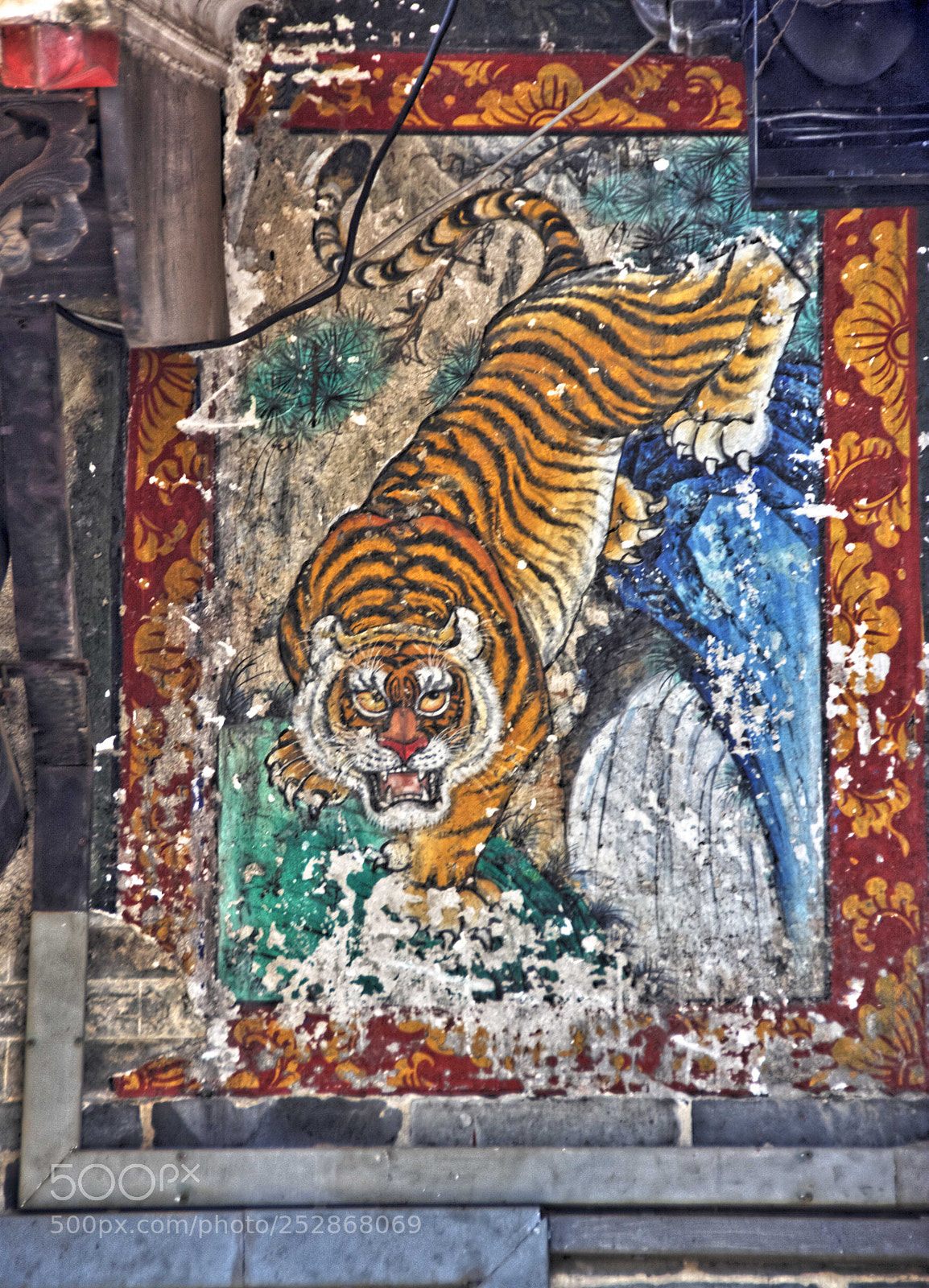 Nikon D7100 sample photo. Tiger photography