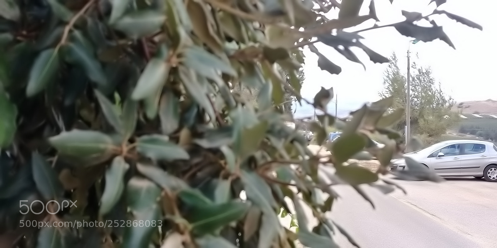 LG G6 sample photo. Kibbutz malkia photography