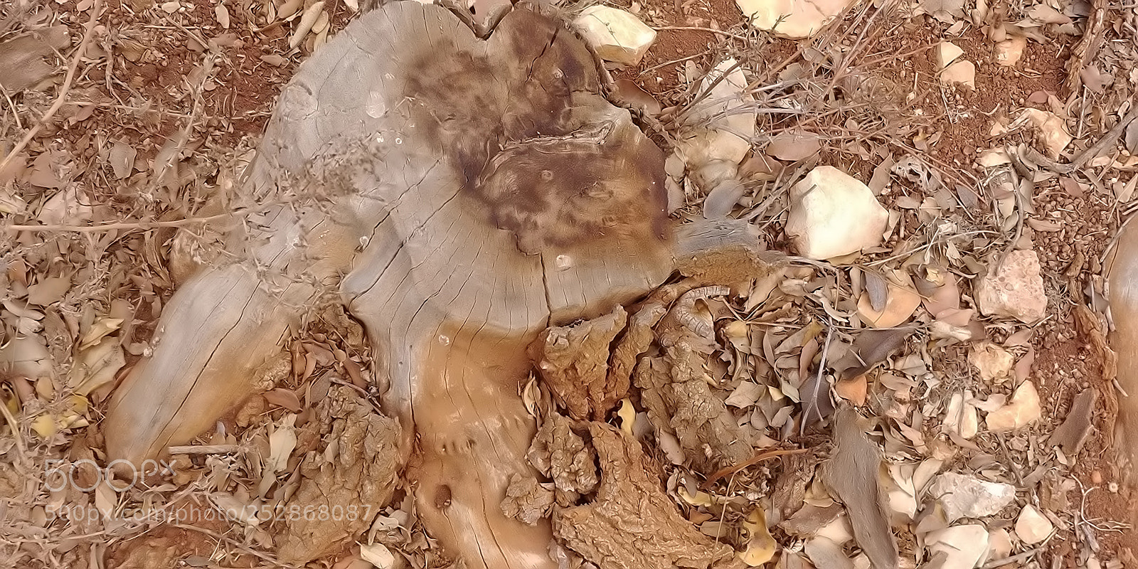 LG G6 sample photo. Kibbutz malkia photography