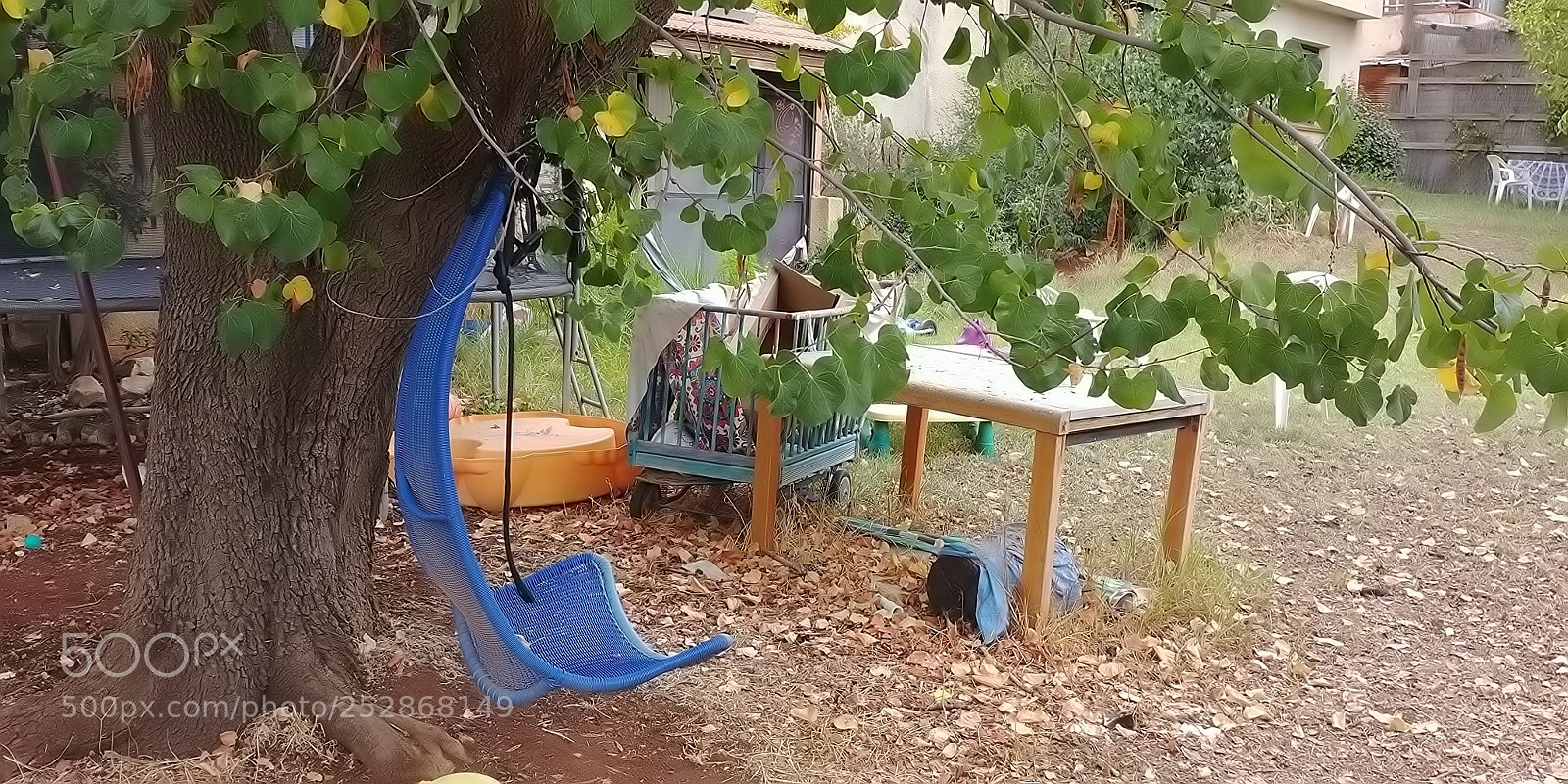 LG G6 sample photo. Kibbutz malkia photography