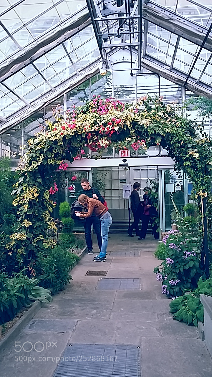 Samsung Galaxy Grand Prime sample photo. United states botanical gardens photography