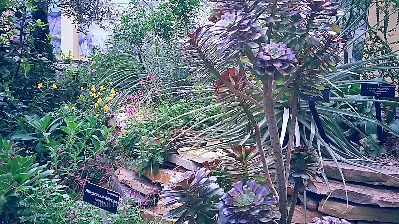 Samsung Galaxy Grand Prime sample photo. United states botanical gardens photography