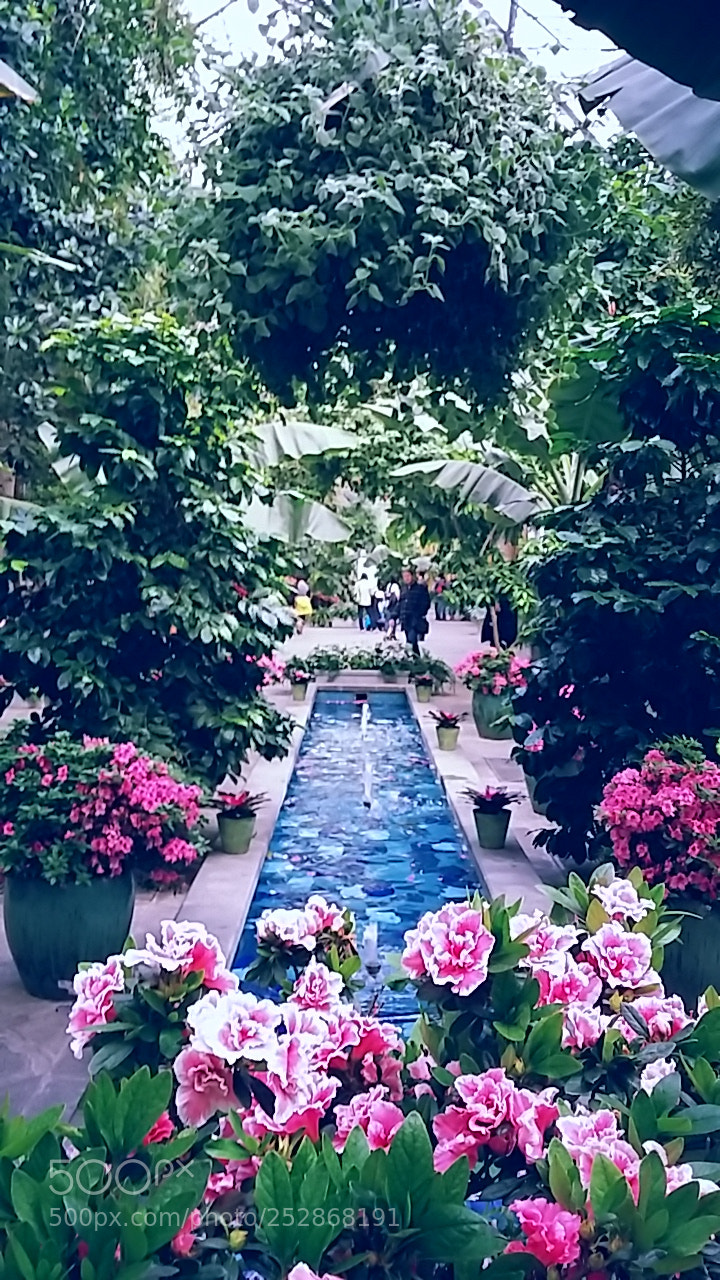 Samsung Galaxy Grand Prime sample photo. United states botanical gardens photography