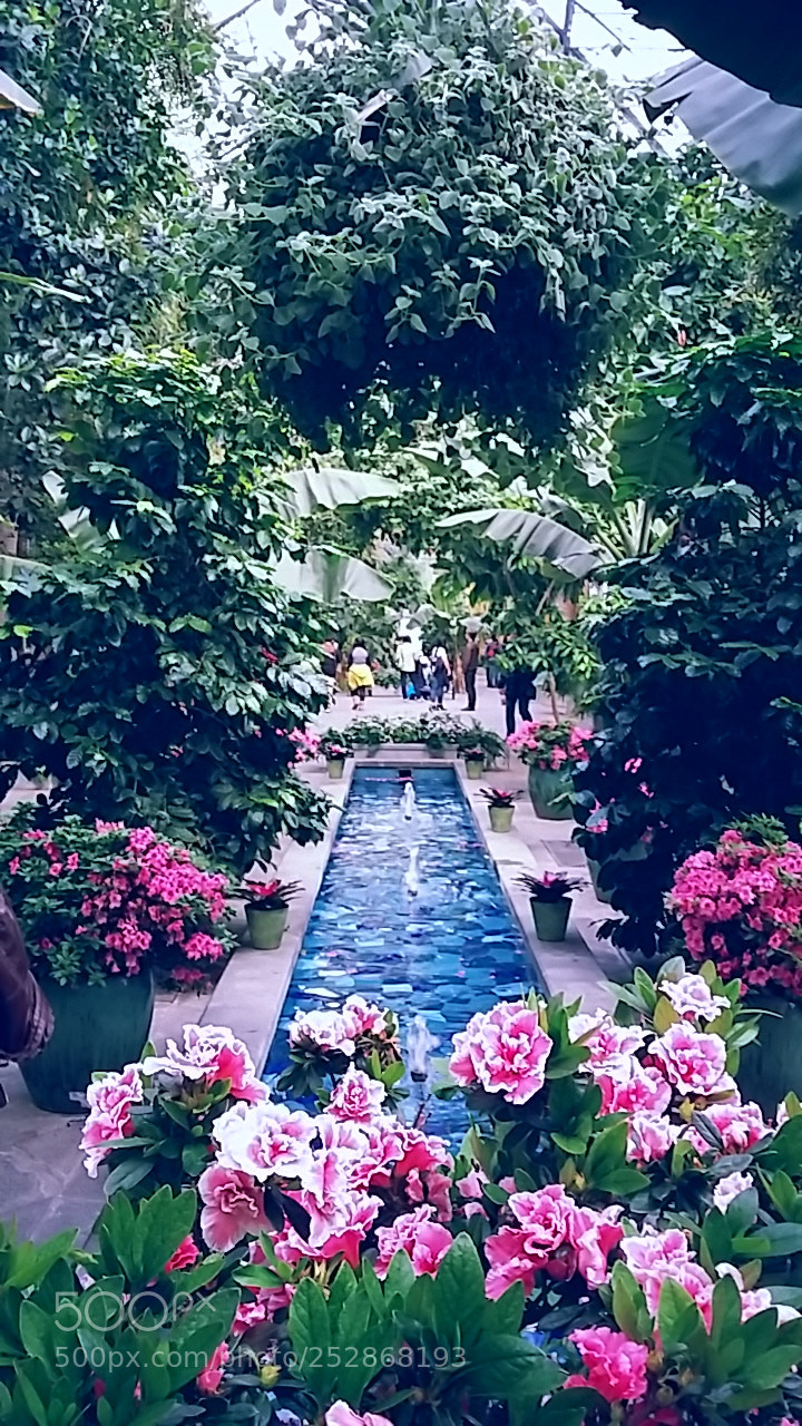 Samsung Galaxy Grand Prime sample photo. United states botanical gardens photography