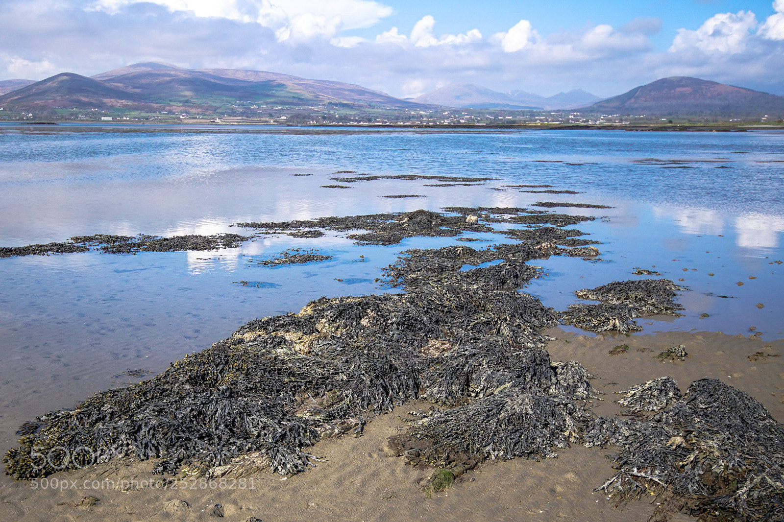 Sony ILCA-77M2 sample photo. Mourne morning photography