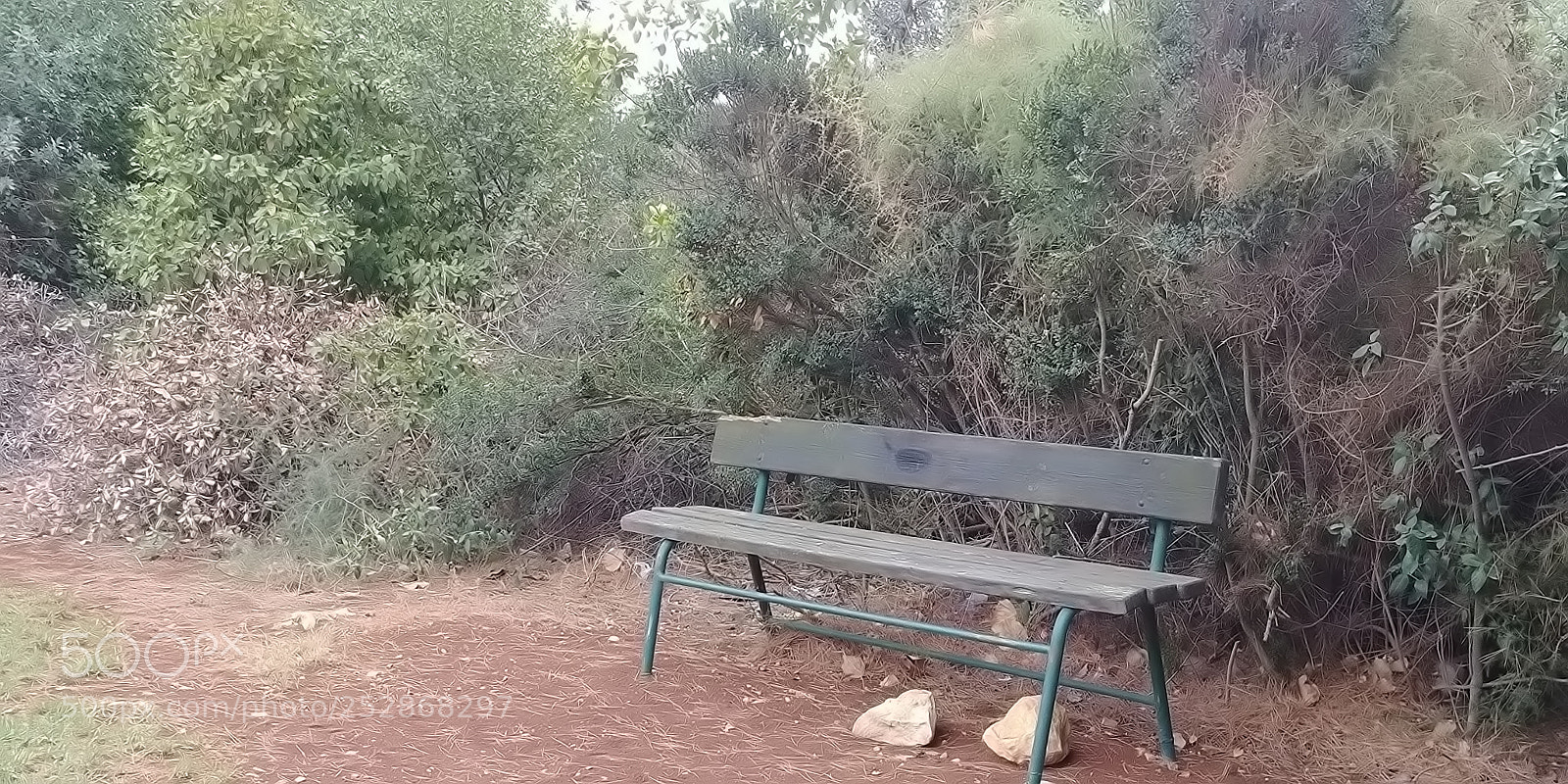 LG G6 sample photo. Kibbutz malkia photography