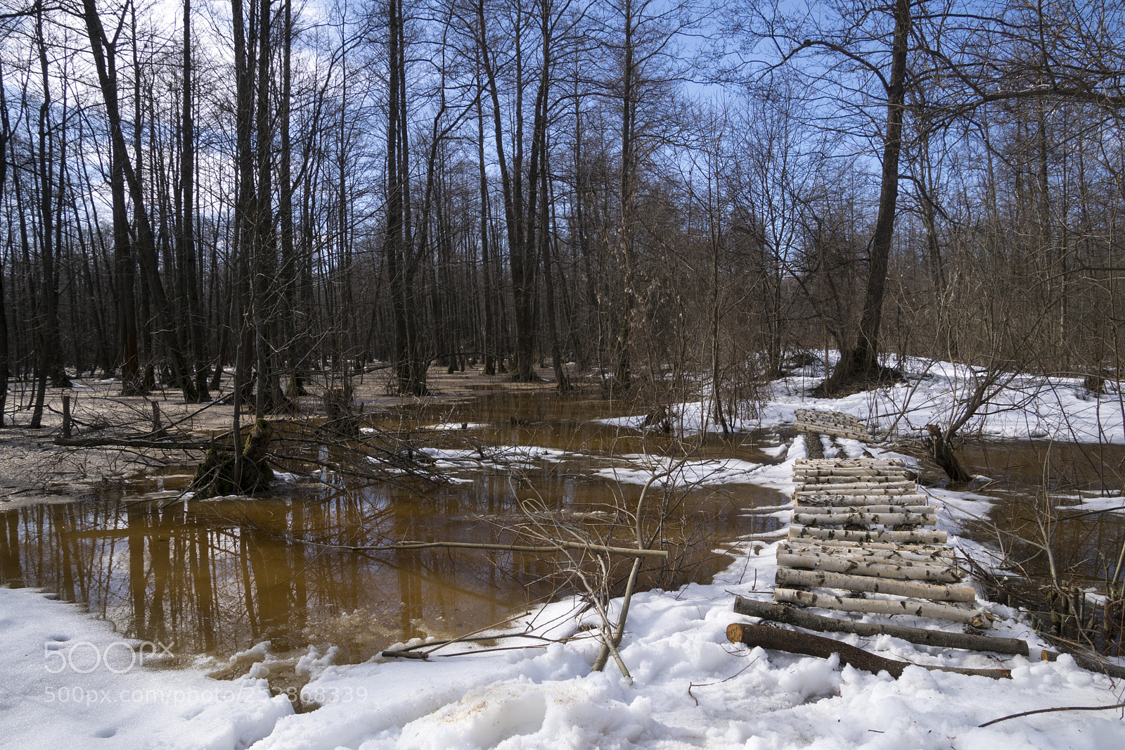 Sony ILCA-77M2 sample photo. Bridge photography