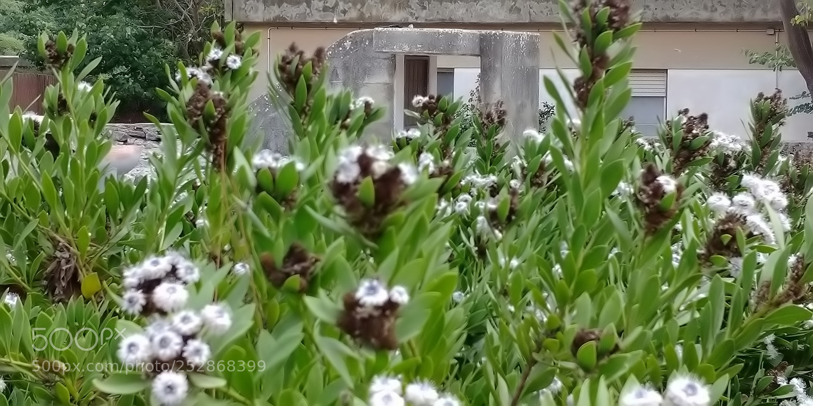 LG G6 sample photo. Kibbutz malkia photography