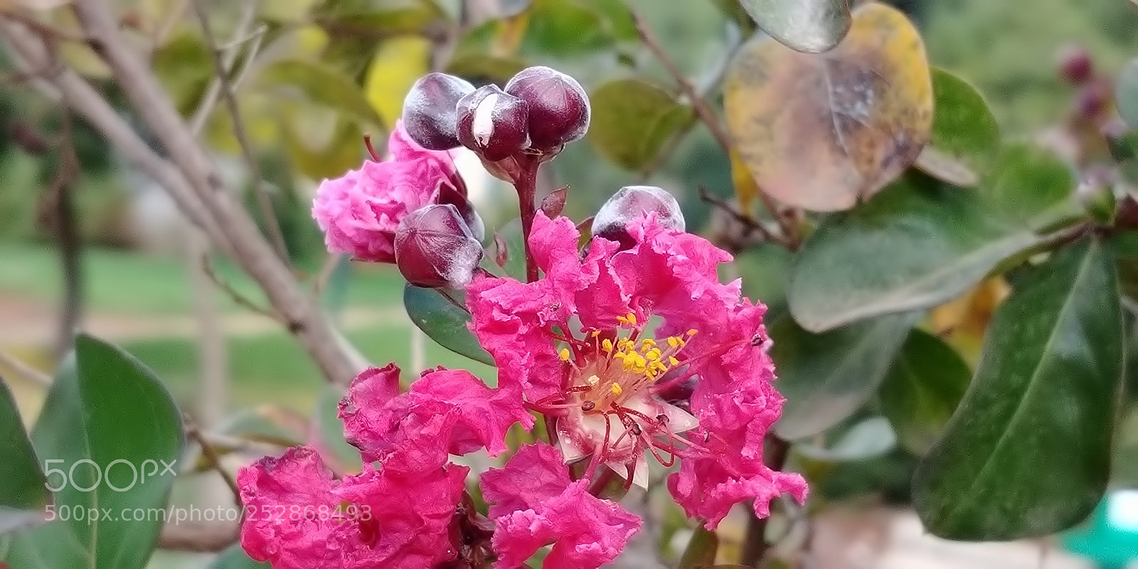 LG G6 sample photo. Kibbutz malkia photography