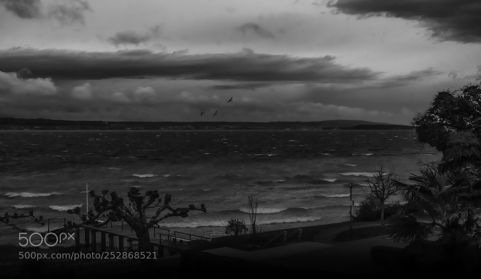 Fujifilm X-T1 sample photo. Die lust im sturm photography