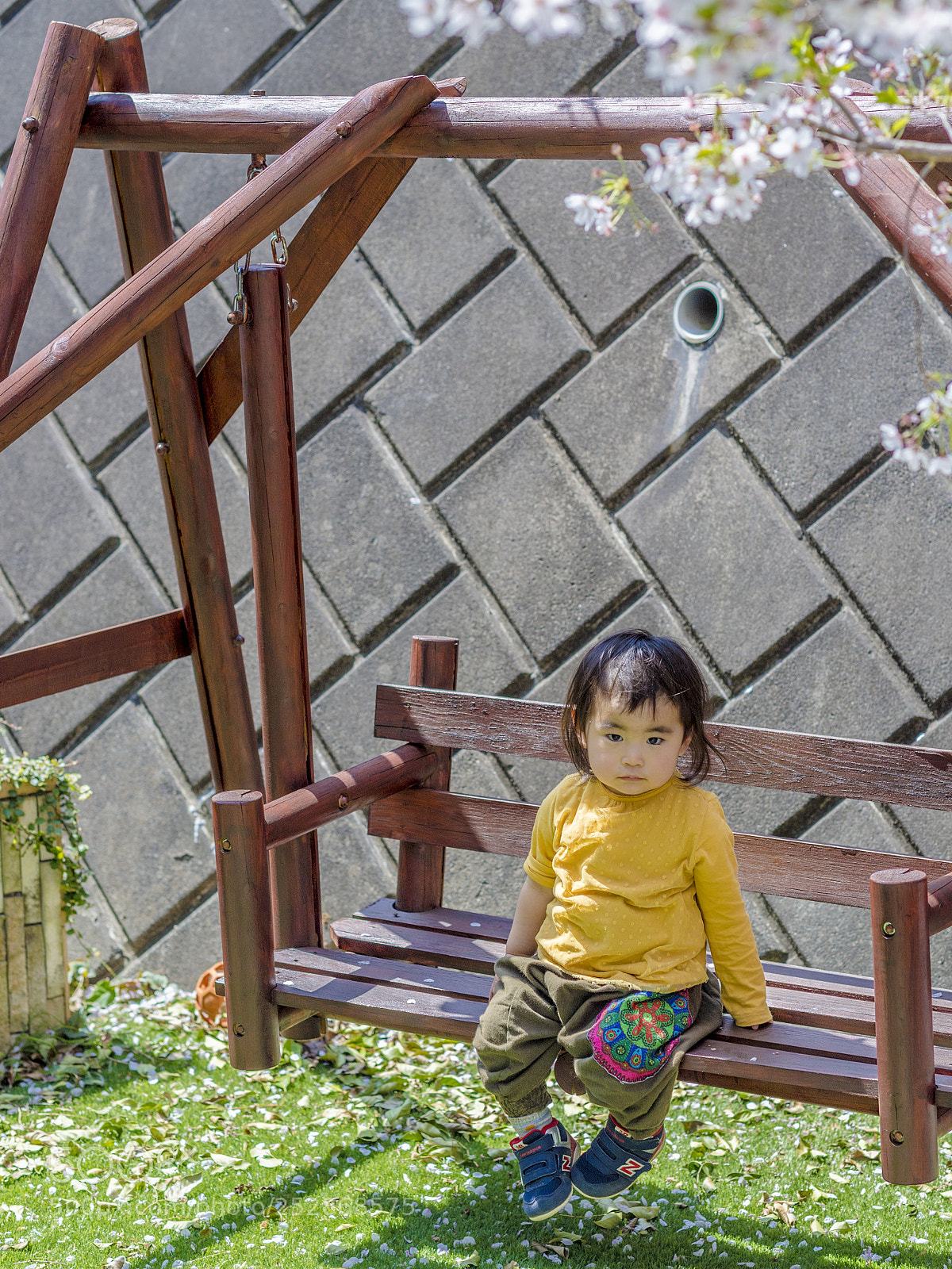 Nikon D5 sample photo. Granddaughter playing photography