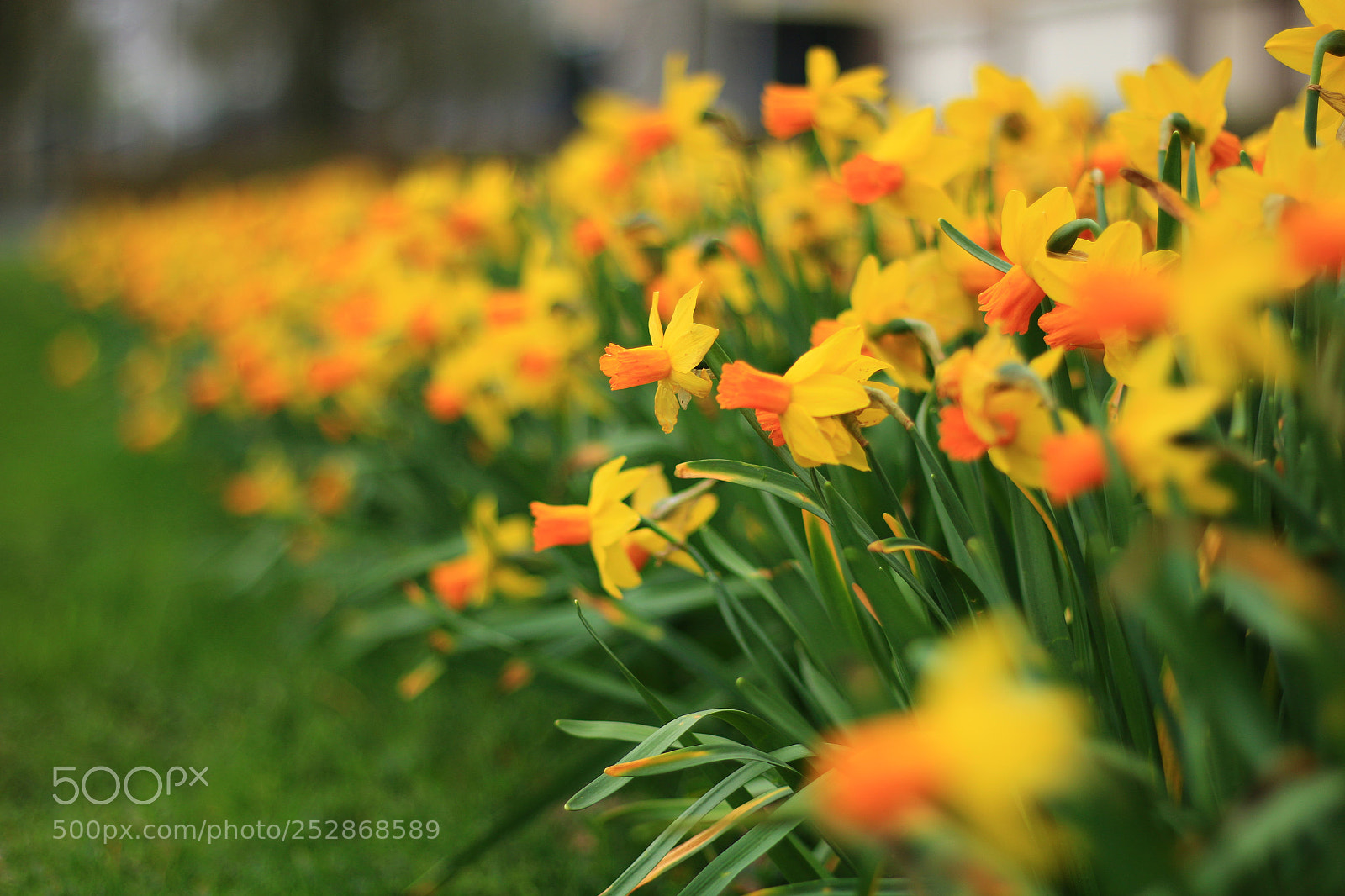 Canon EOS 70D sample photo. Hold onto home photography
