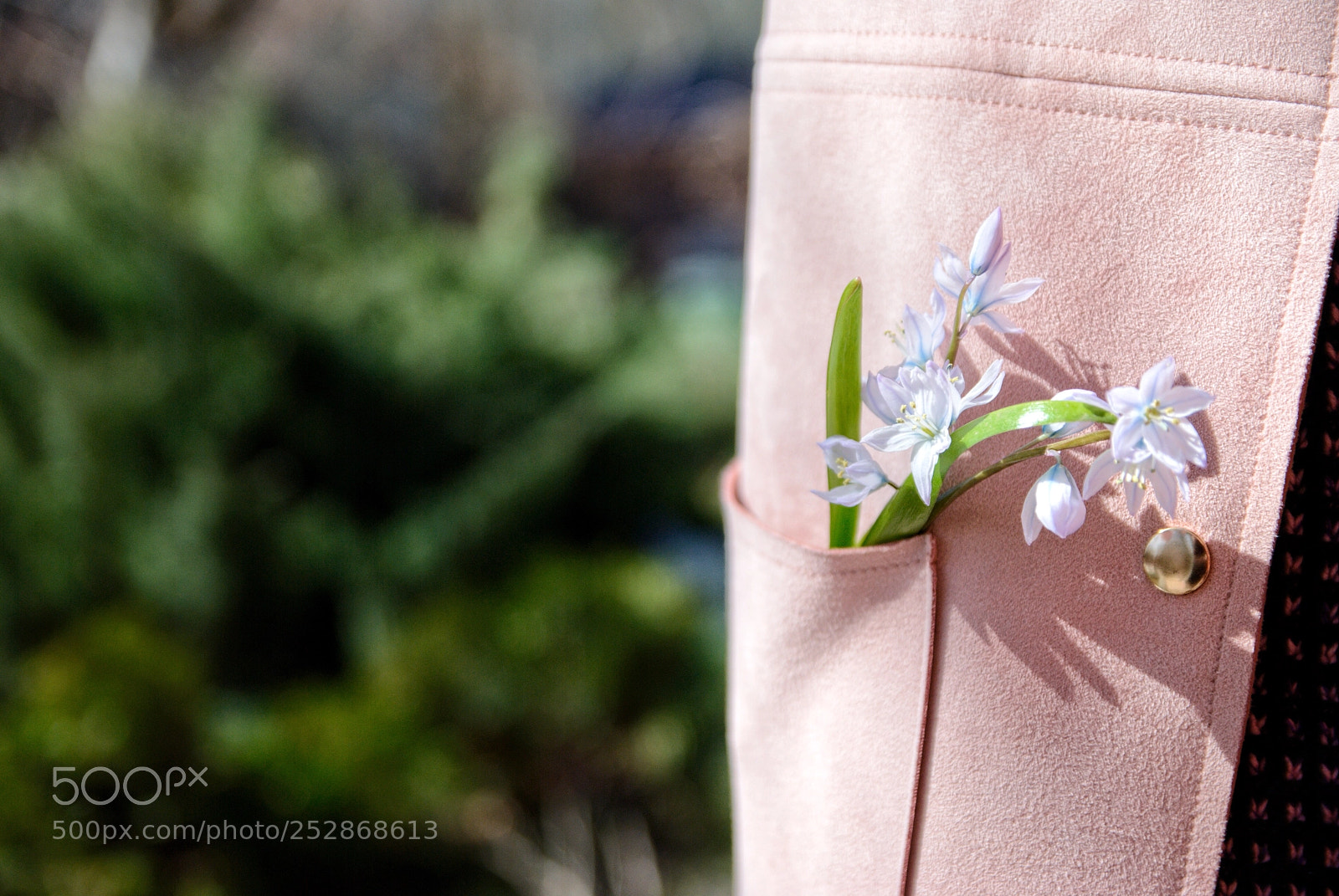 Nikon D80 sample photo. Spring in pocket photography