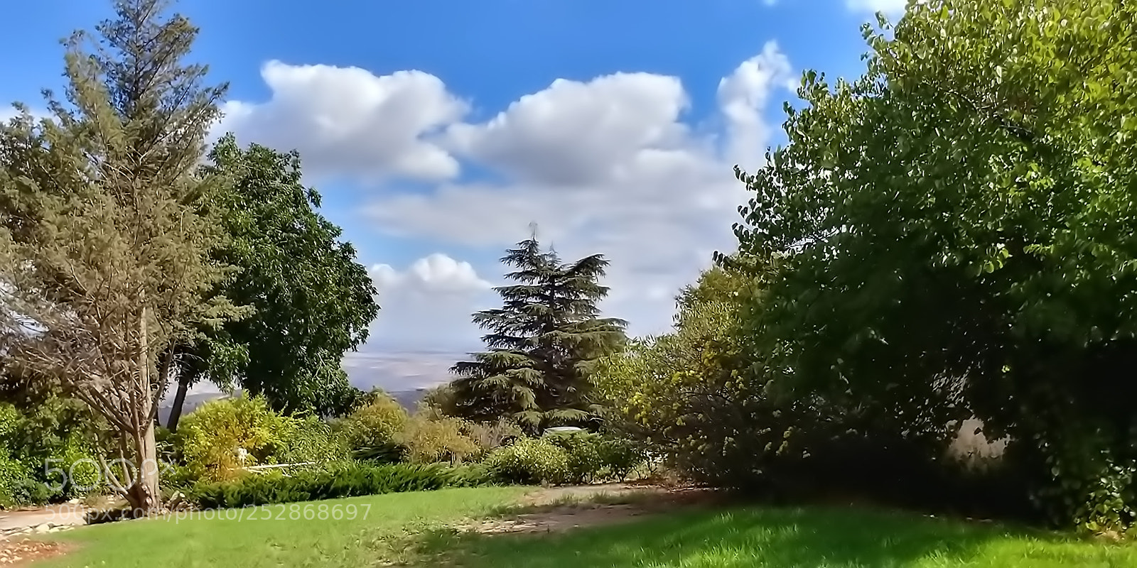 LG G6 sample photo. Kibbutz malkia photography