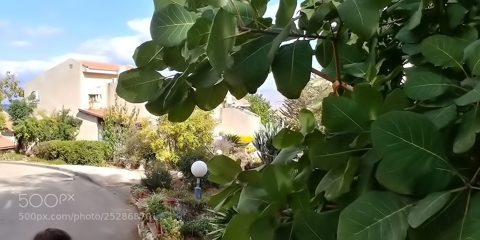 LG G6 sample photo. Kibbutz malkia photography