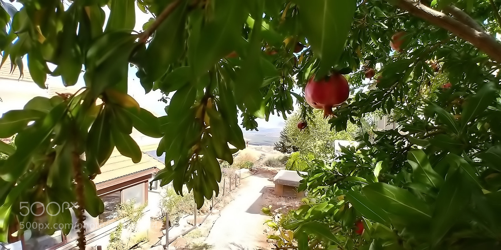 LG G6 sample photo. Kibbutz malkia photography
