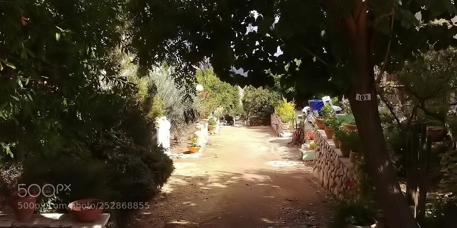 LG G6 sample photo. Kibbutz malkia photography