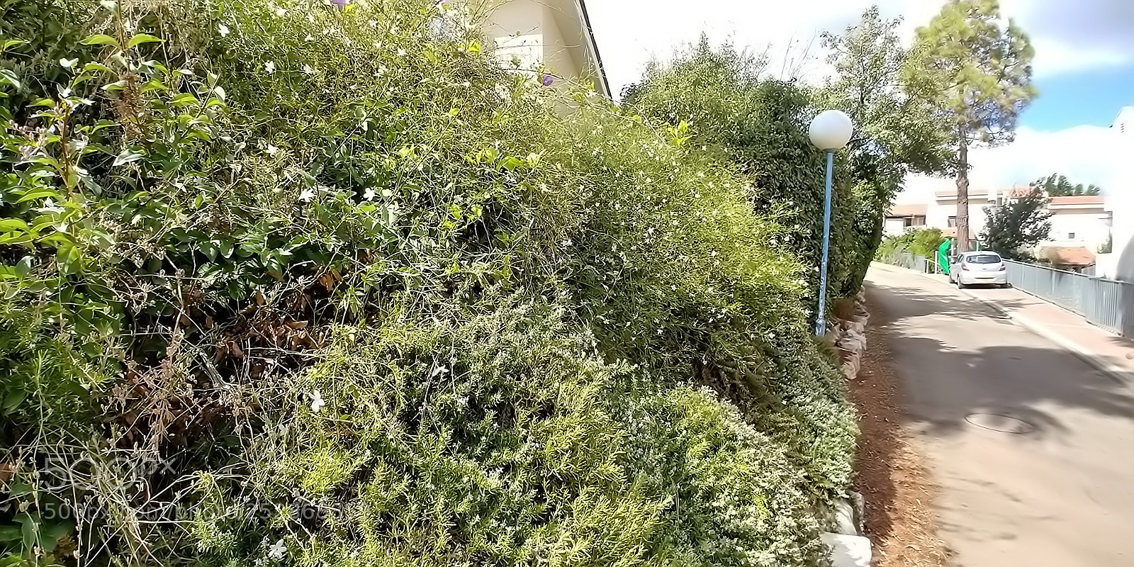 LG G6 sample photo. Kibbutz malkia photography