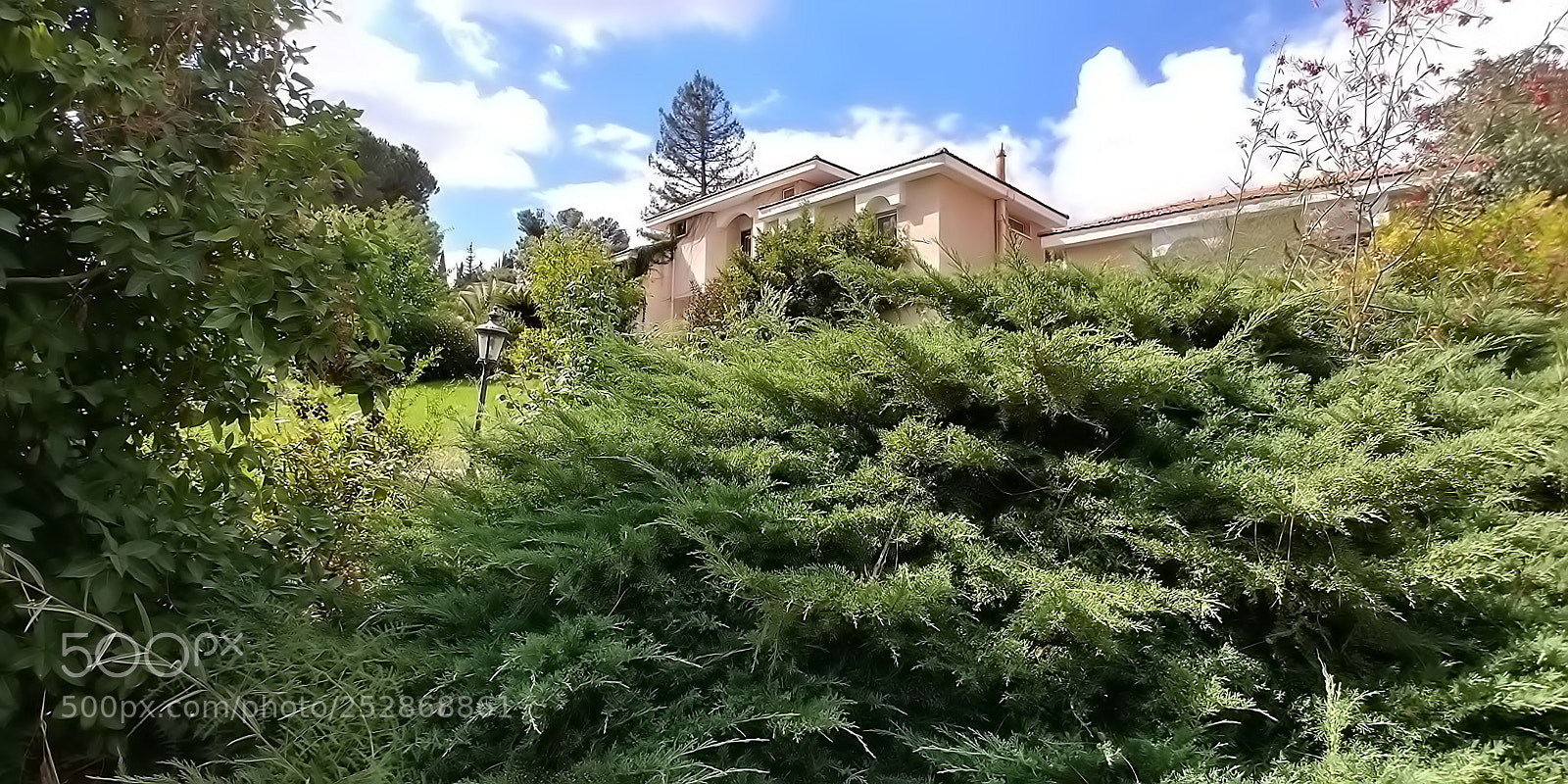 LG G6 sample photo. Kibbutz malkia photography
