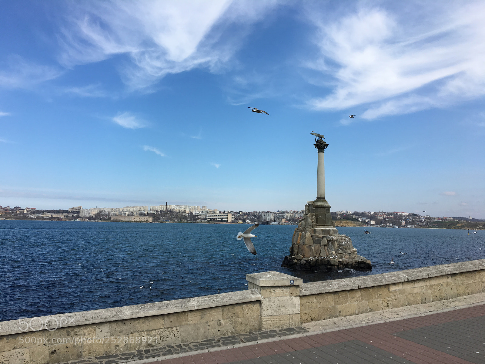Apple iPhone 6s sample photo. Seagulls photography