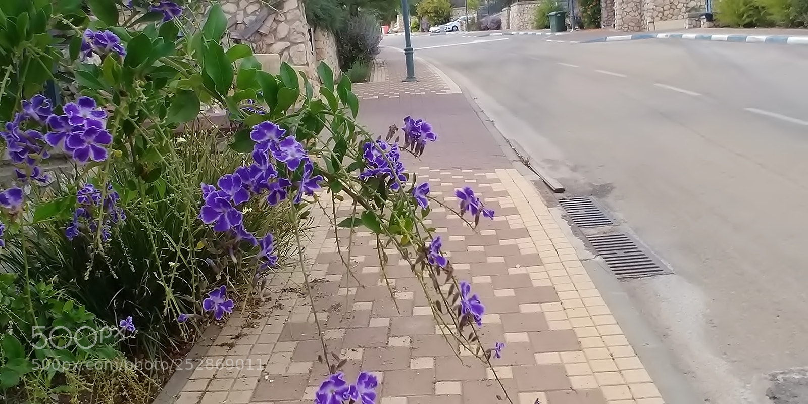 LG G6 sample photo. Kibbutz malkia photography