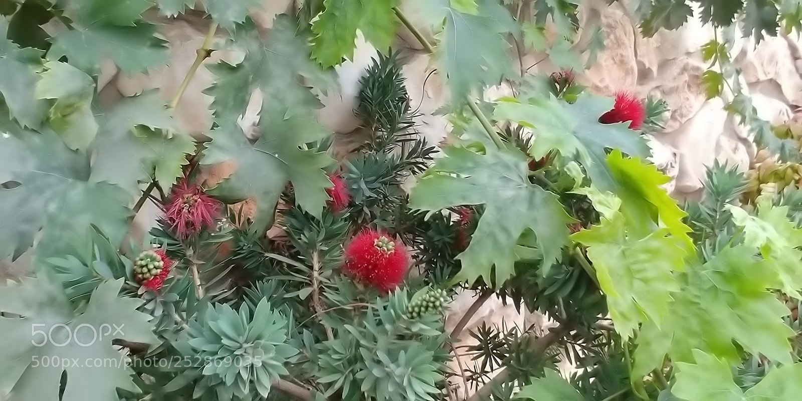 LG G6 sample photo. Kibbutz malkia photography