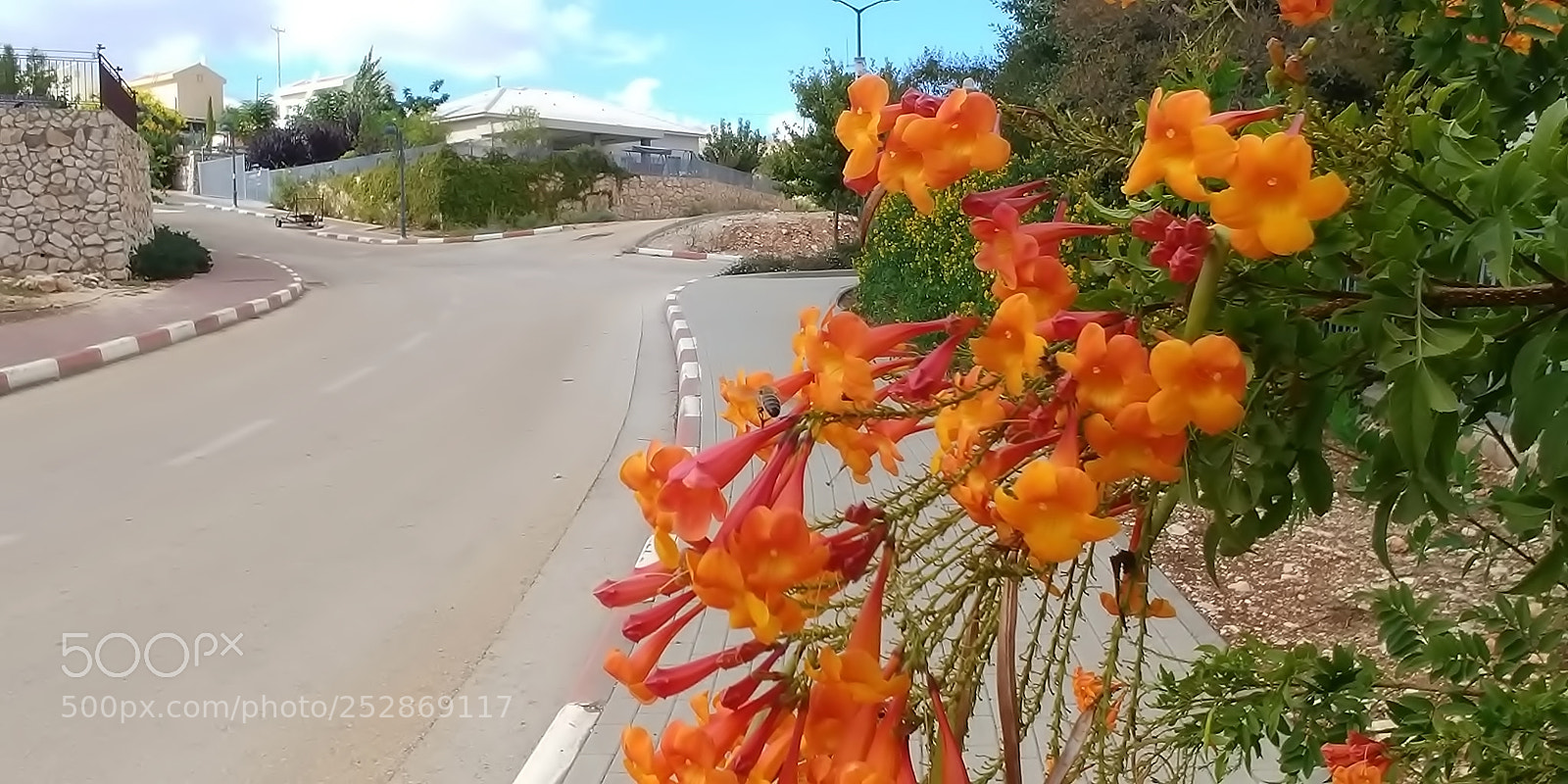 LG G6 sample photo. Kibbutz malkia photography