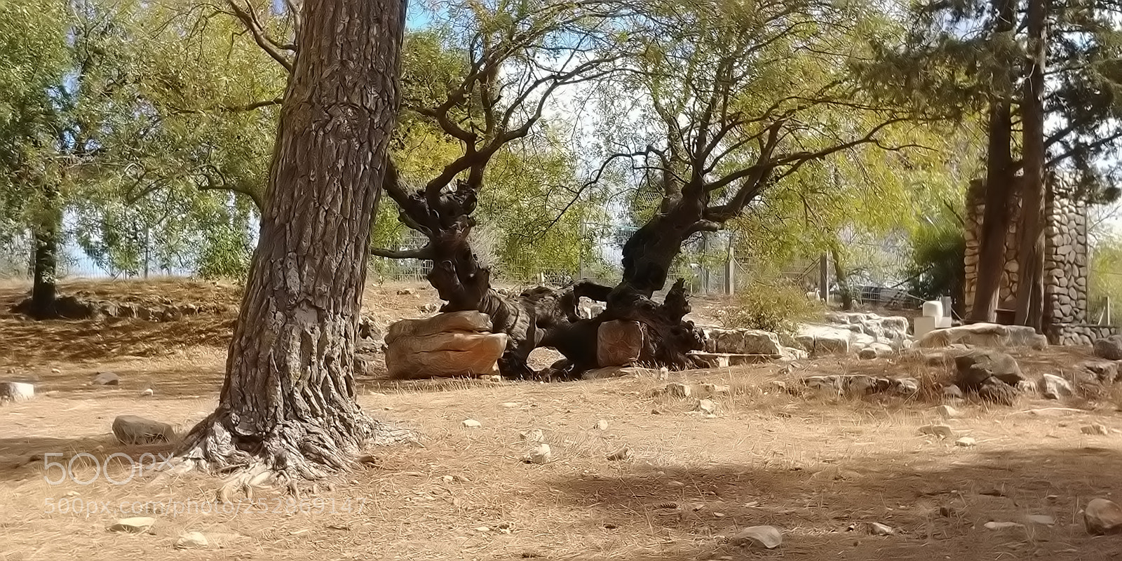 LG G6 sample photo. Kibbutz malkia photography