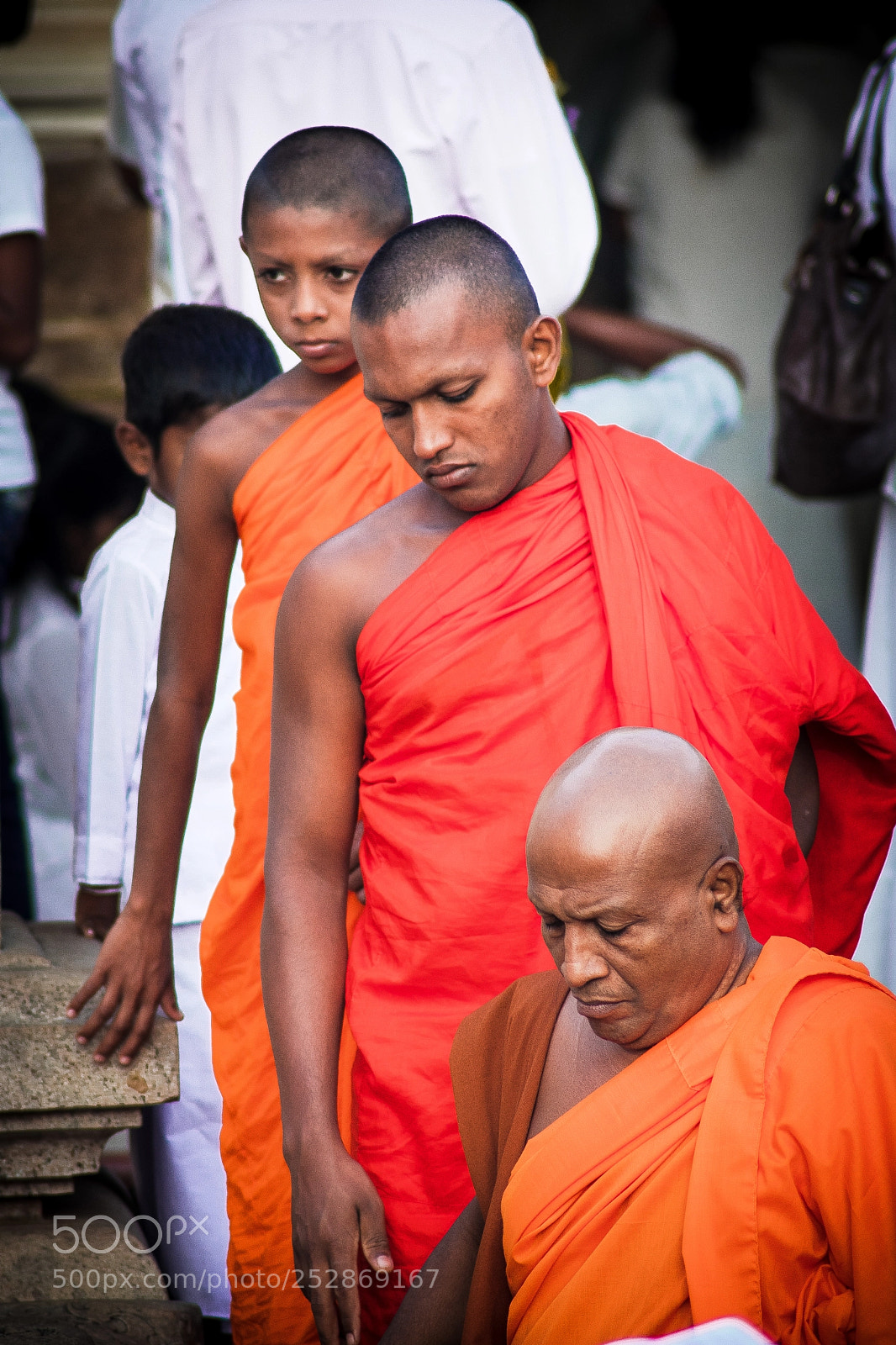 Canon EOS 800D (EOS Rebel T7i / EOS Kiss X9i) sample photo. Buddhist monks walking down photography