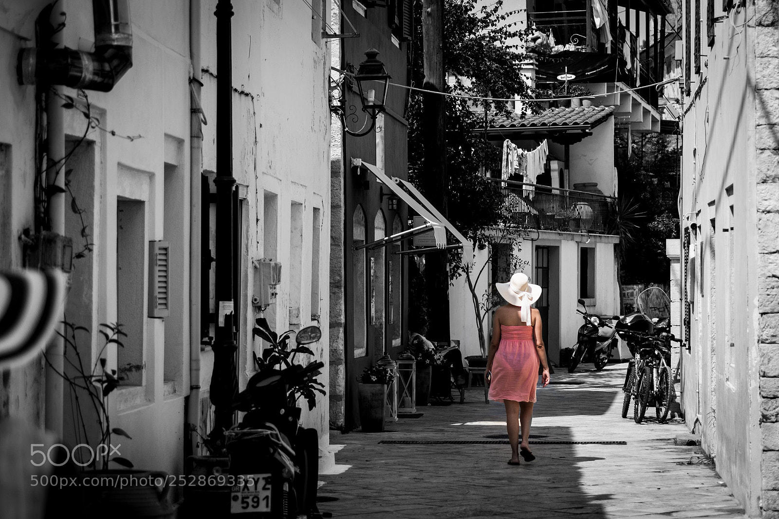 Nikon D500 sample photo. Walk this way! photography