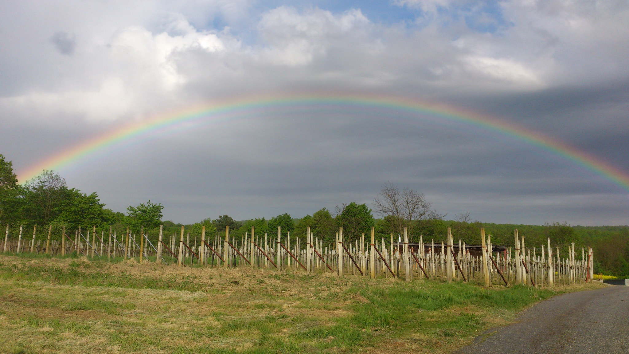 Sony Ericsson Xperia S sample photo. Rainbow photography