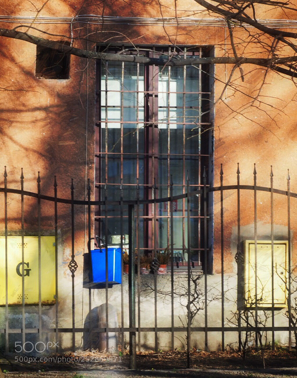 Olympus OM-D E-M10 II sample photo. Window with fenced  photography