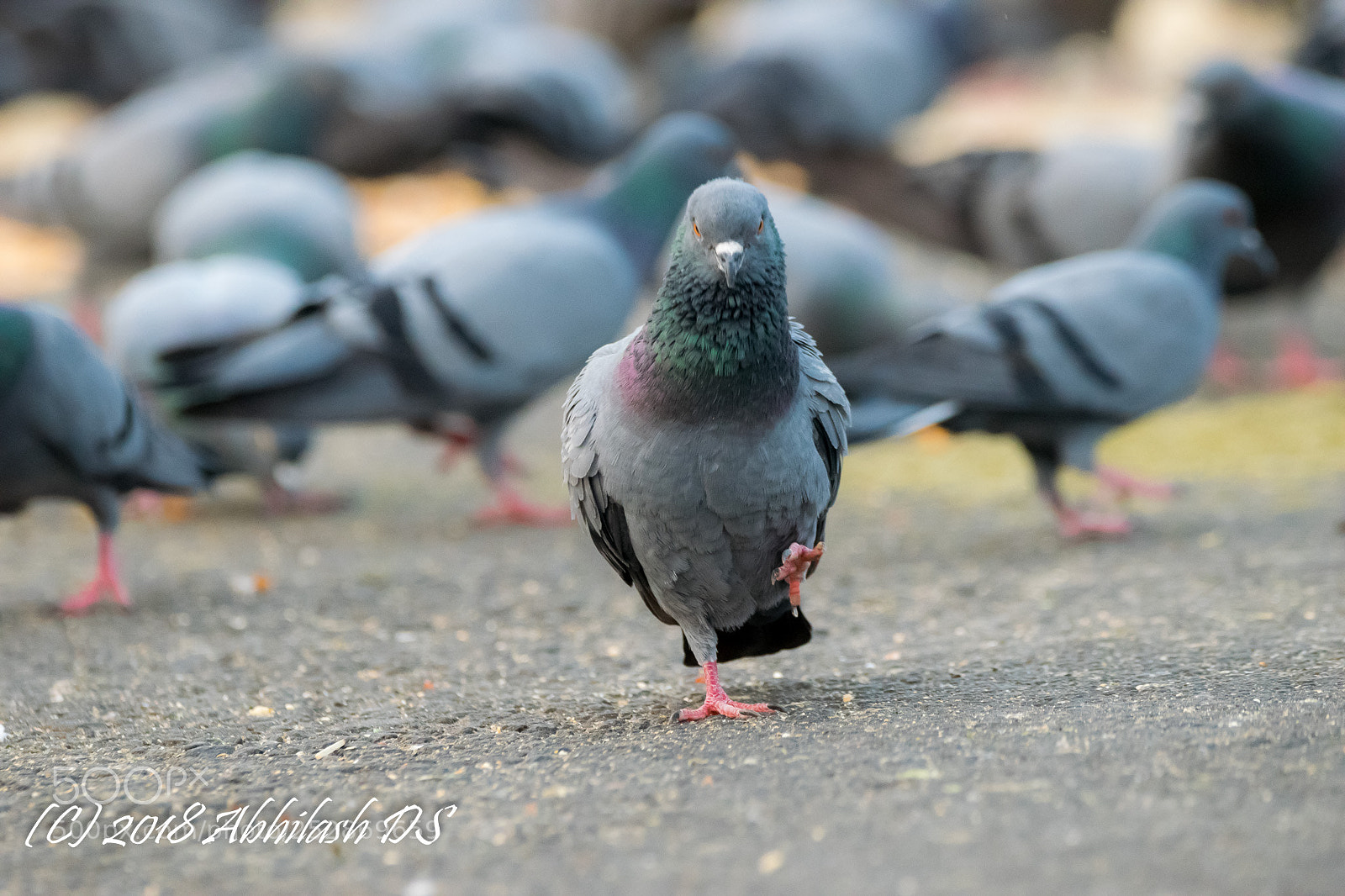 Nikon D5300 sample photo. Untitled photography