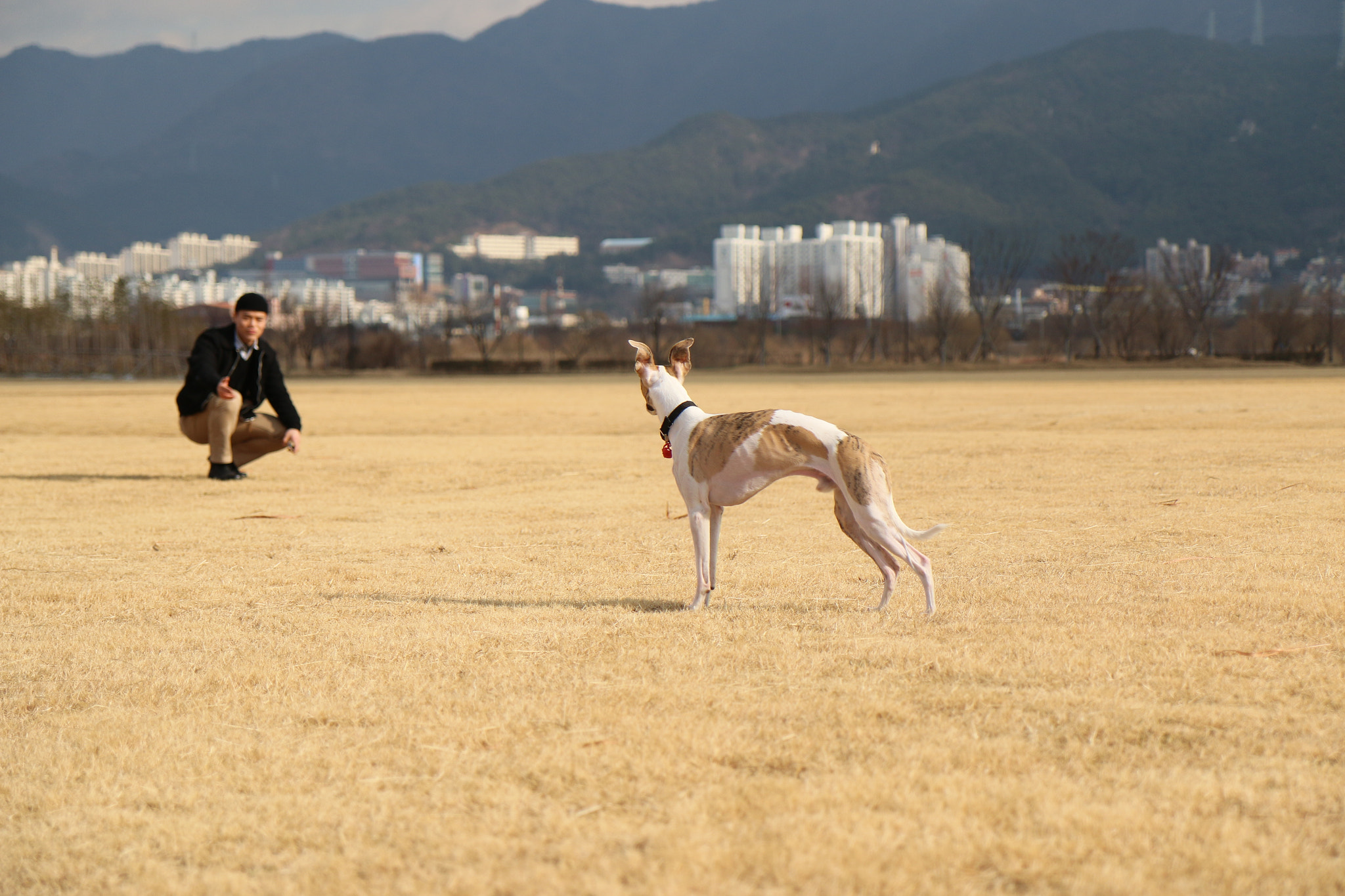 Canon EOS 70D + Canon EF-S 17-55mm F2.8 IS USM sample photo. Img photography