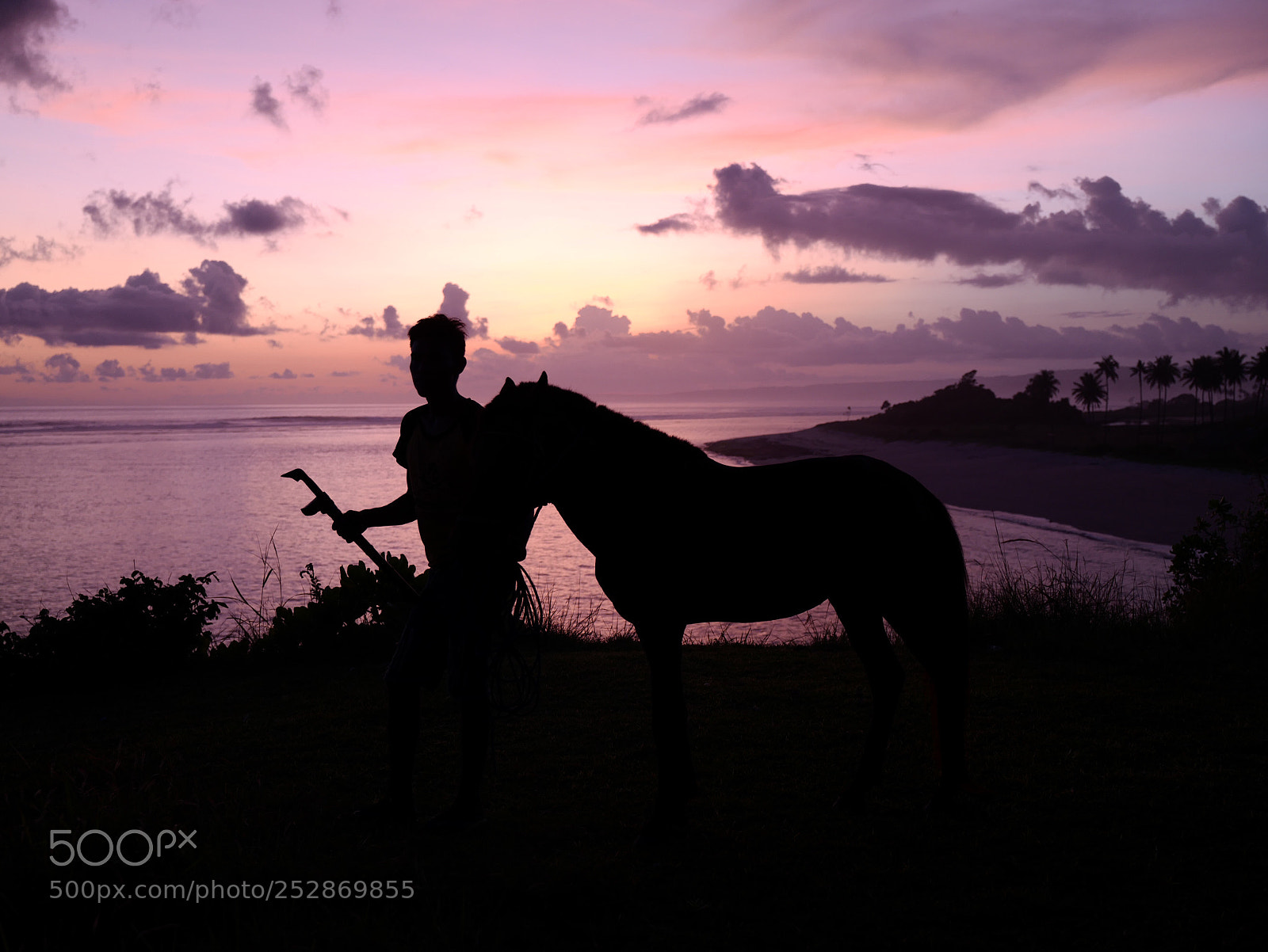Leica SL (Typ 601) sample photo. Horse photography