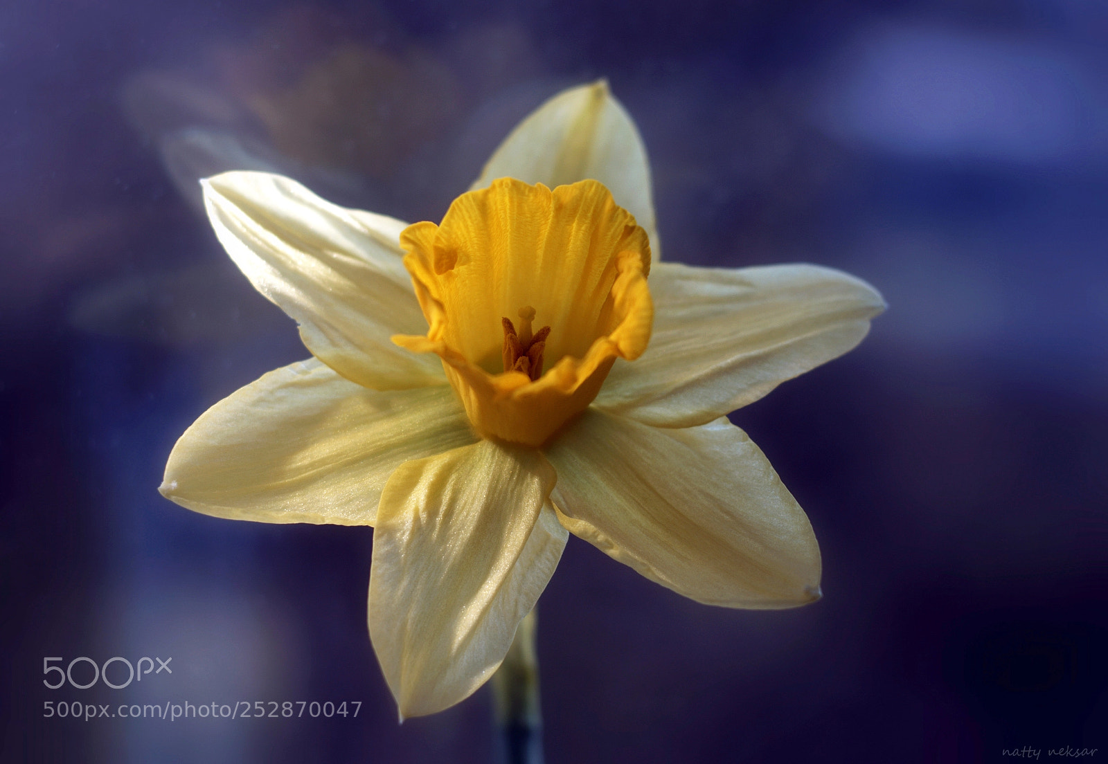 Nikon D5300 sample photo. #springtime...2 photography