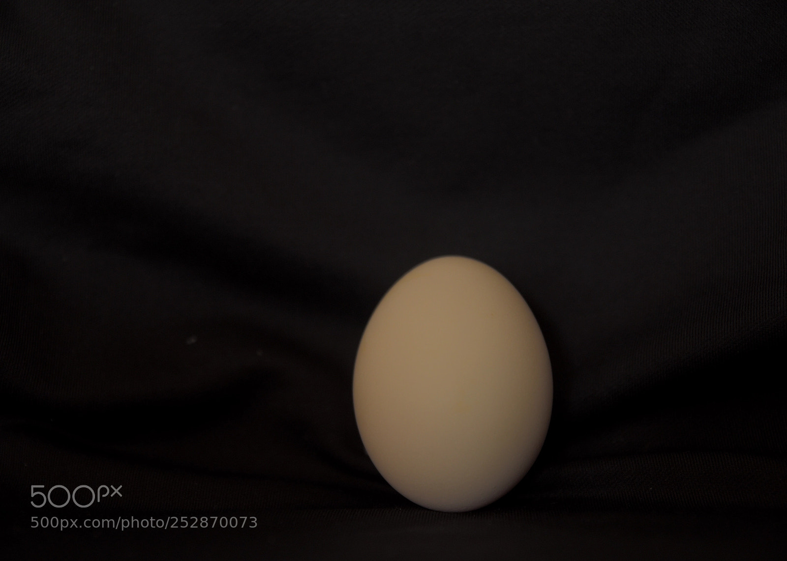 Pentax K-50 sample photo. Untitled photography