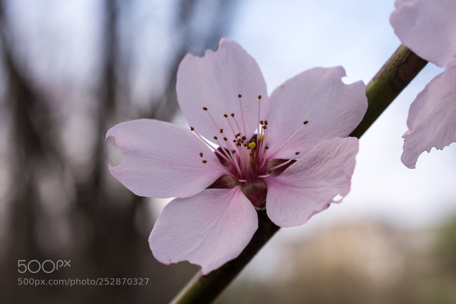 Nikon D7200 sample photo. Imperfection photography