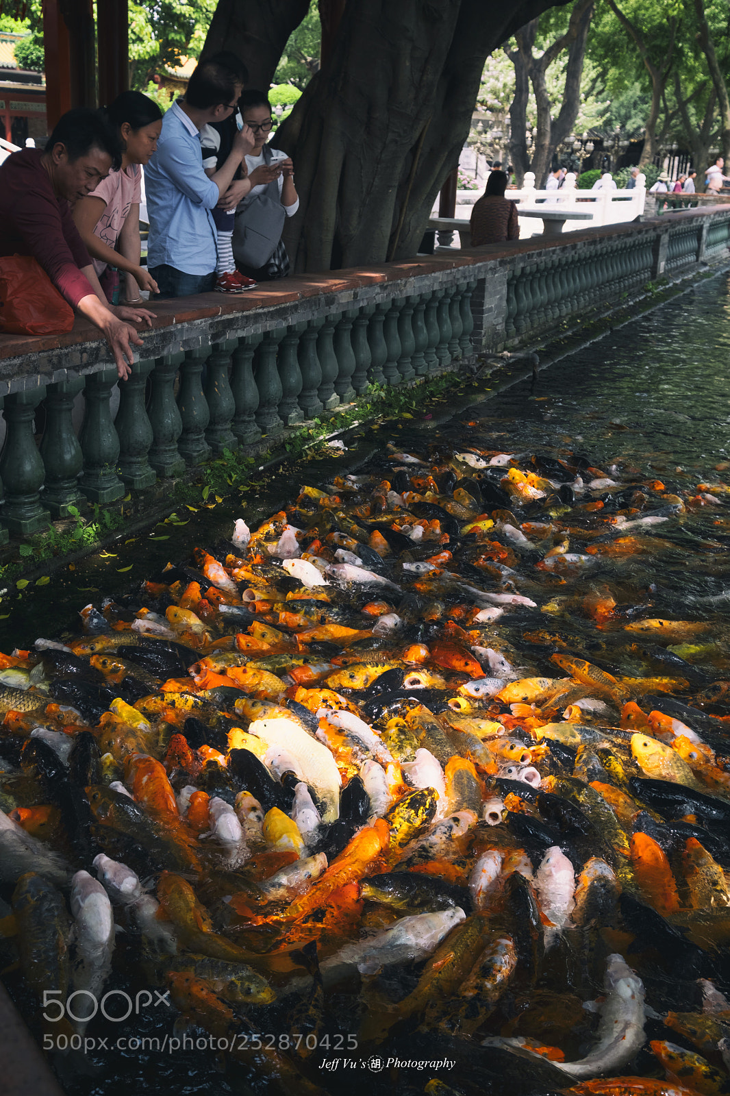 Fujifilm X-T2 sample photo. 魚趣 photography