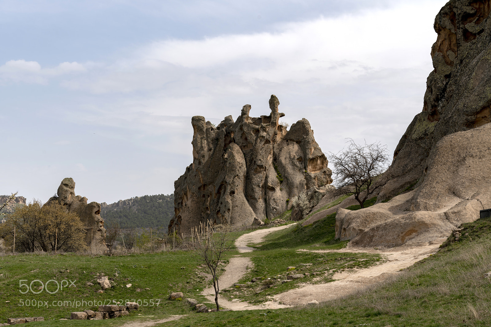 Sony a7R III sample photo. Dsc photography