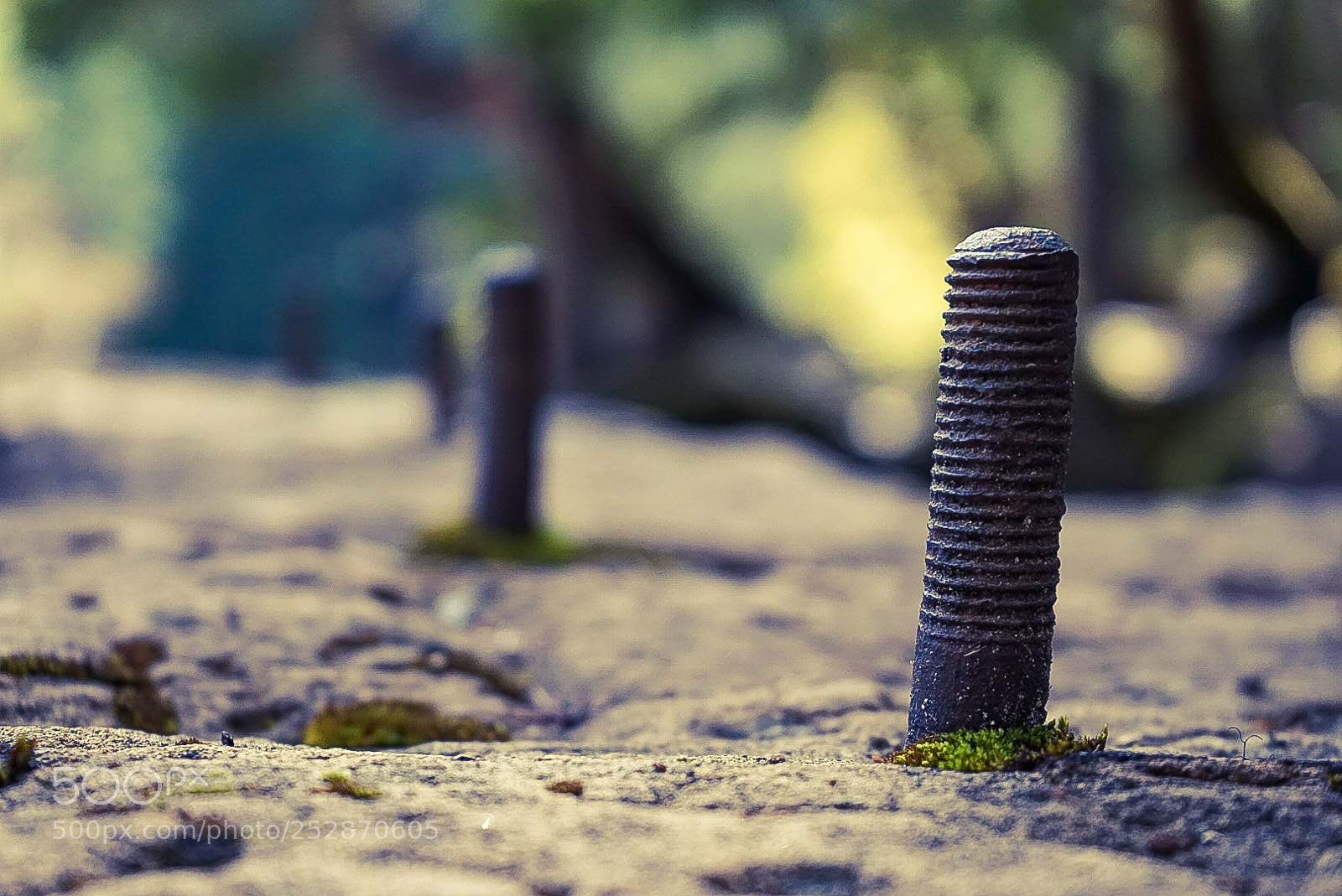 Sony a7 sample photo. Untitled photography
