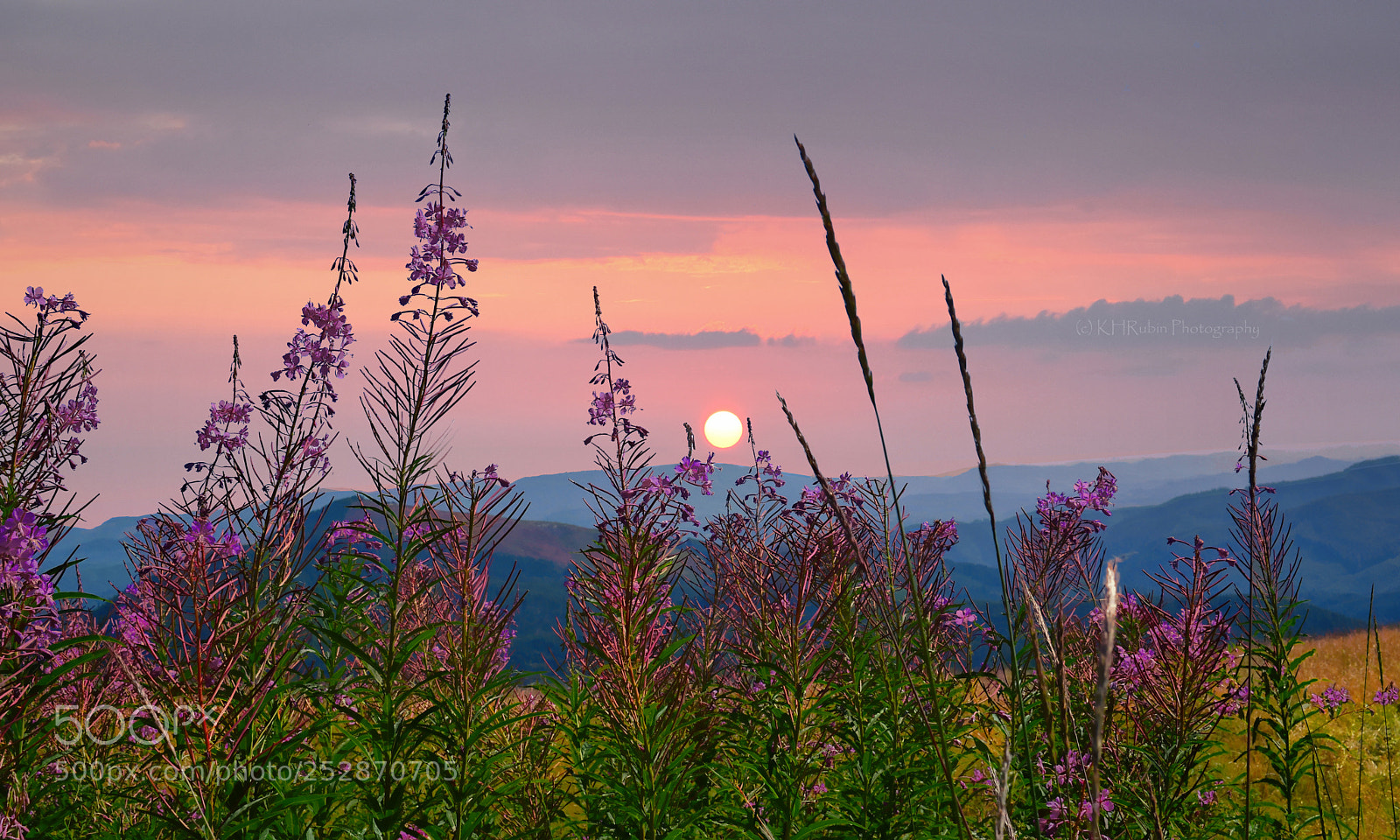 Nikon D5500 sample photo. Sunset in the meadow photography