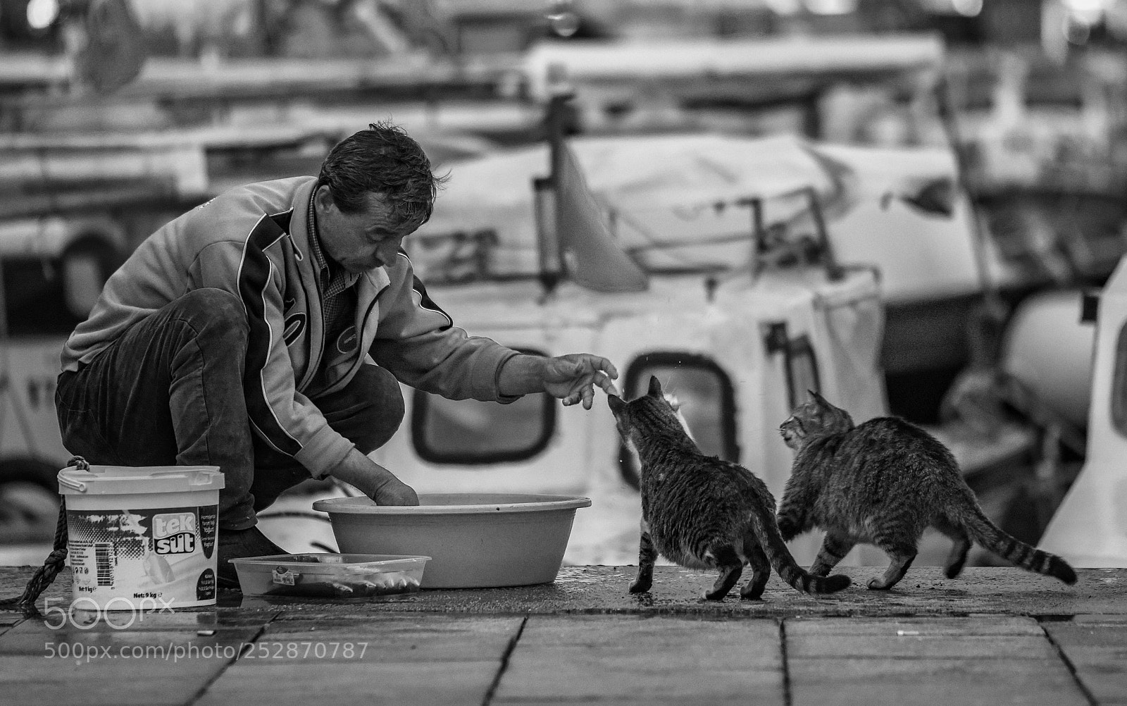 Nikon D810 sample photo. Untitled photography