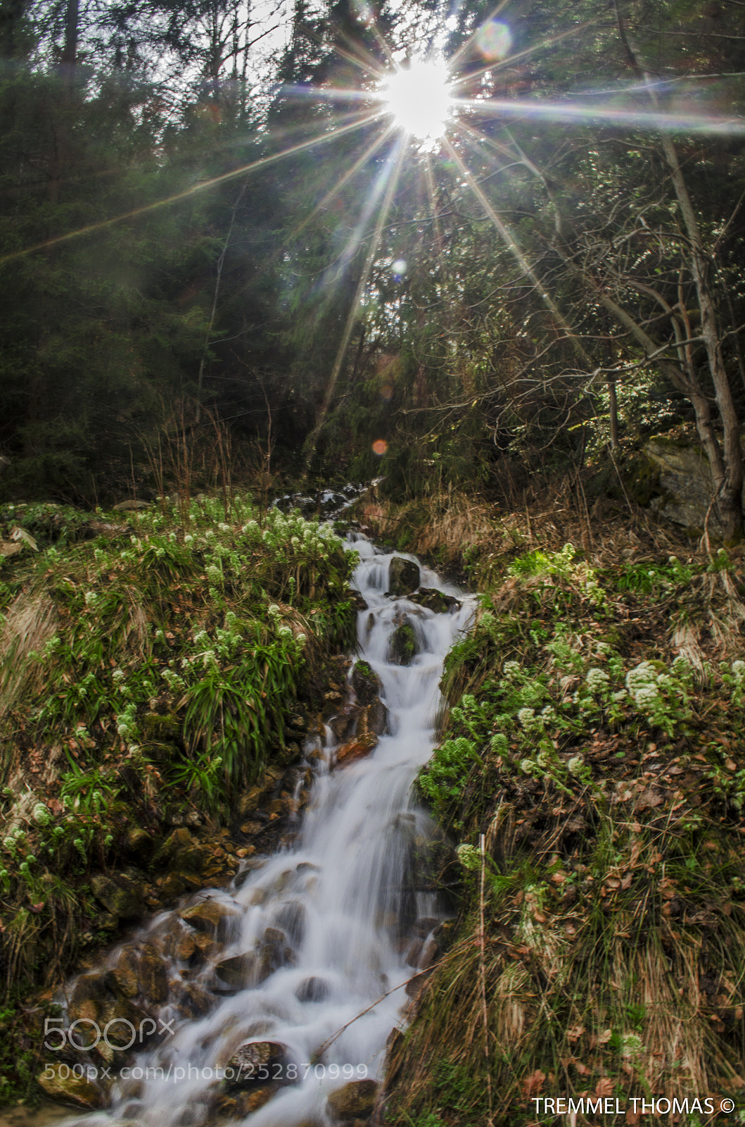 Nikon D5100 sample photo. Waterfall in the middle photography