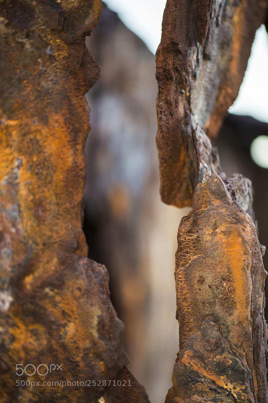 Nikon D800 sample photo. Shipwreck of hmqs gayundah photography