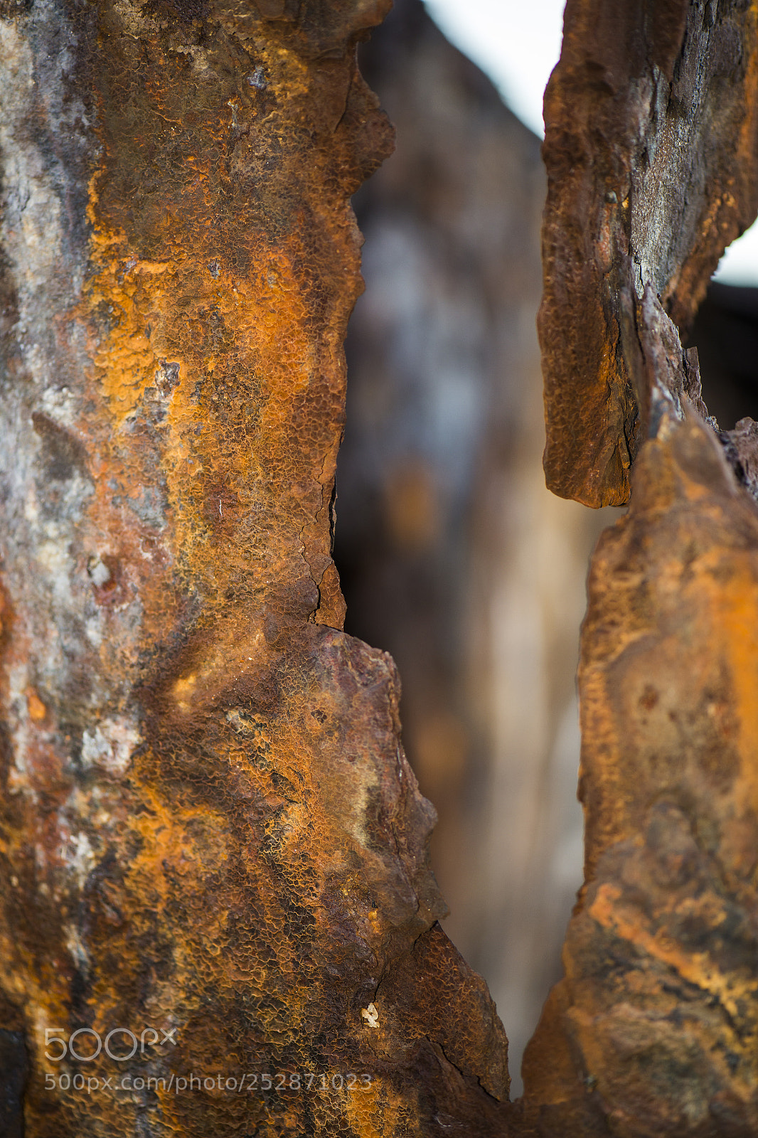 Nikon D800 sample photo. Shipwreck of hmqs gayundah photography