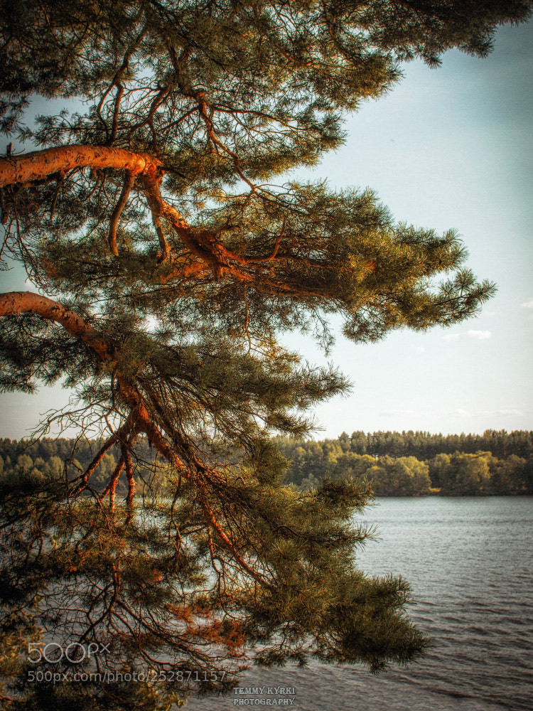 Canon EOS 7D sample photo. Landscape photography