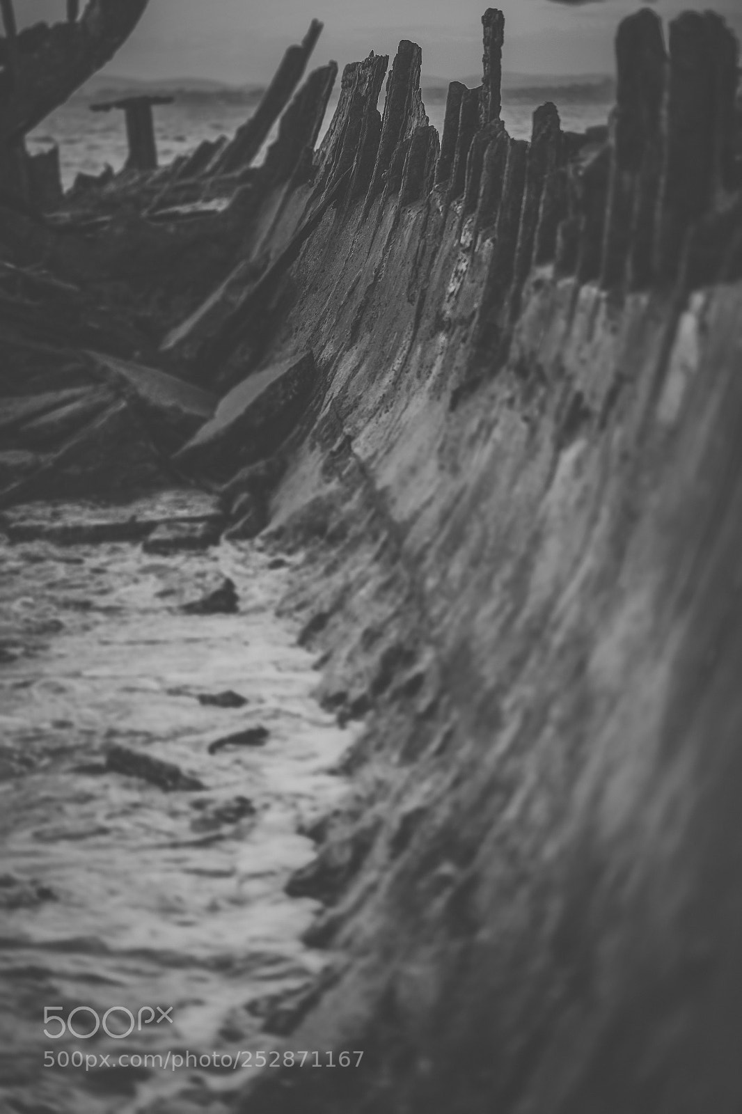 Nikon D800 sample photo. Shipwreck of hmqs gayundah photography